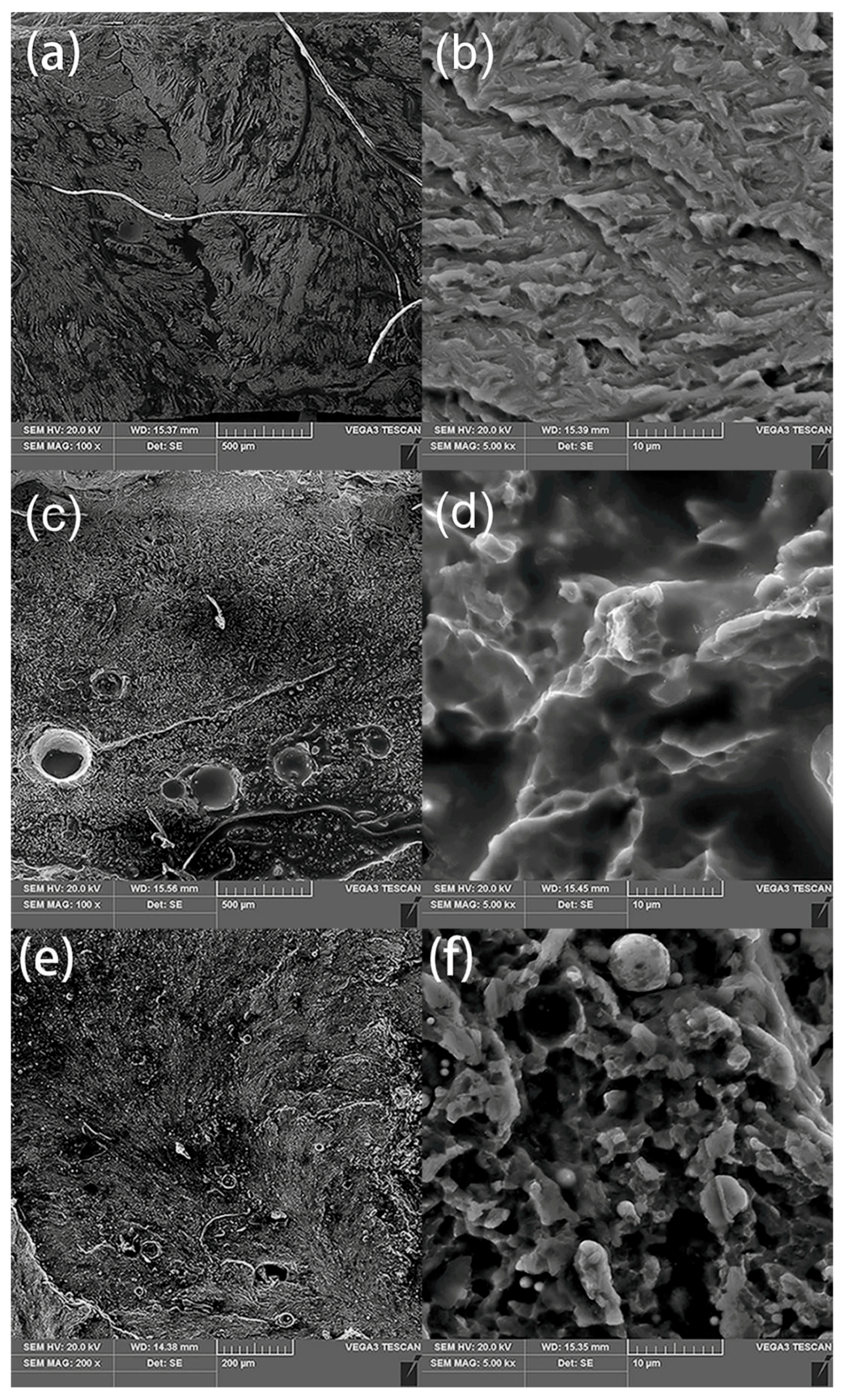 Coatings 09 00566 g009