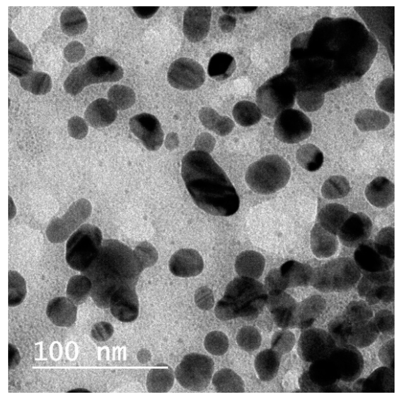 Coatings 09 00571 g002