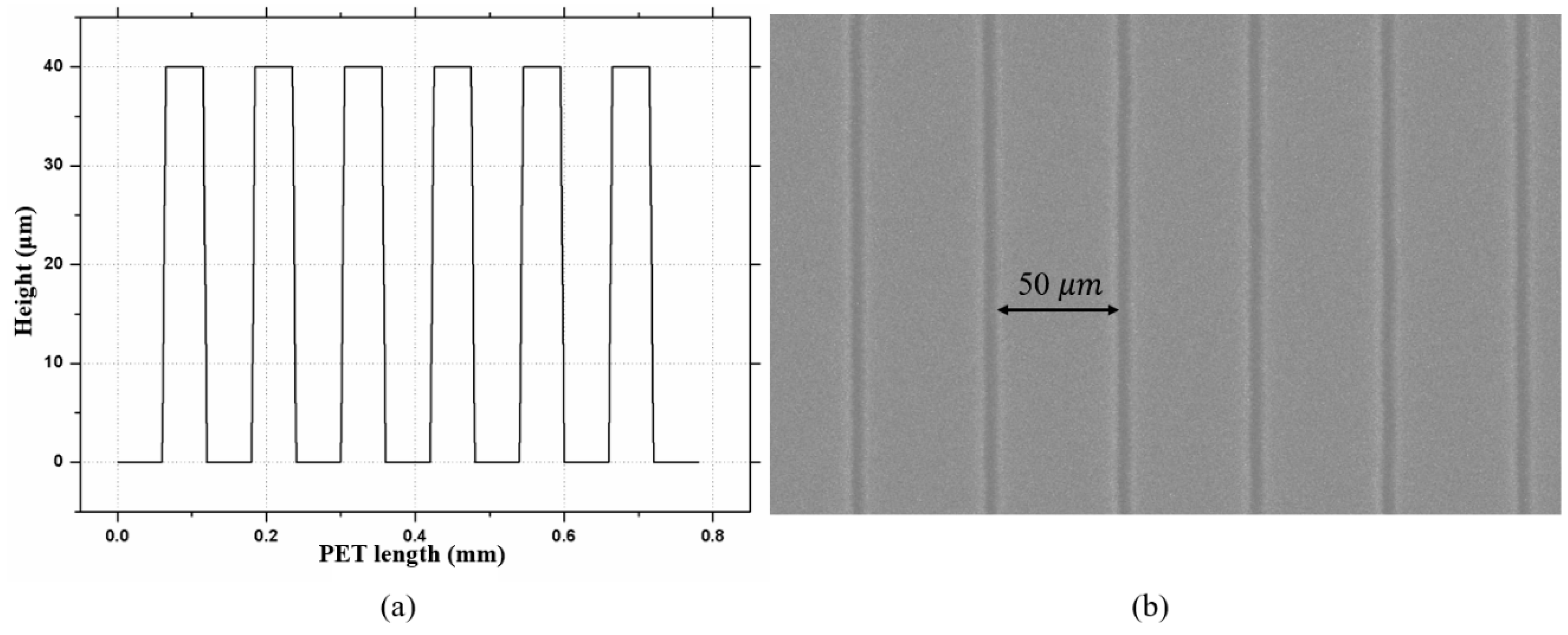 Coatings 09 00573 g013