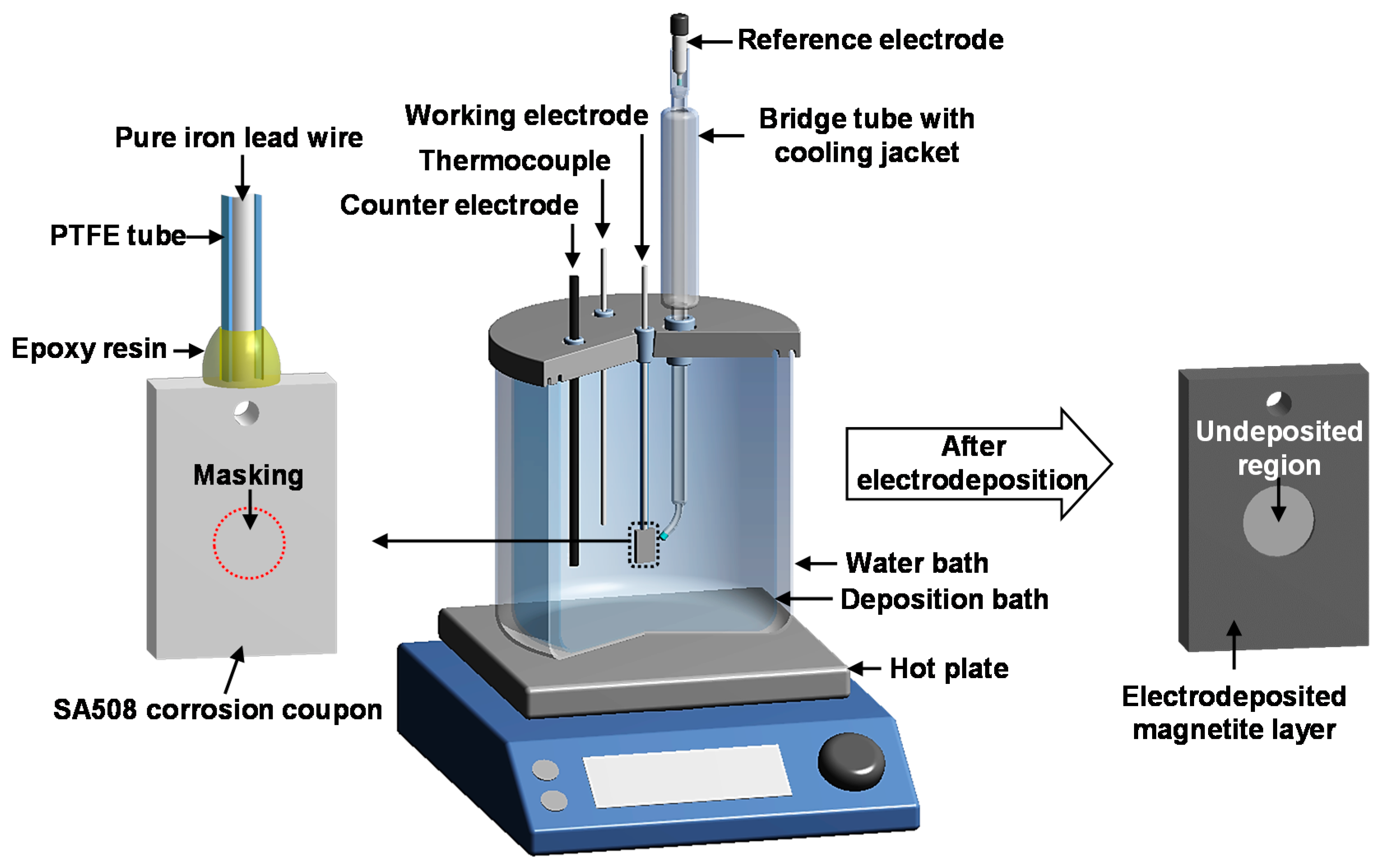 Coatings 09 00575 g001