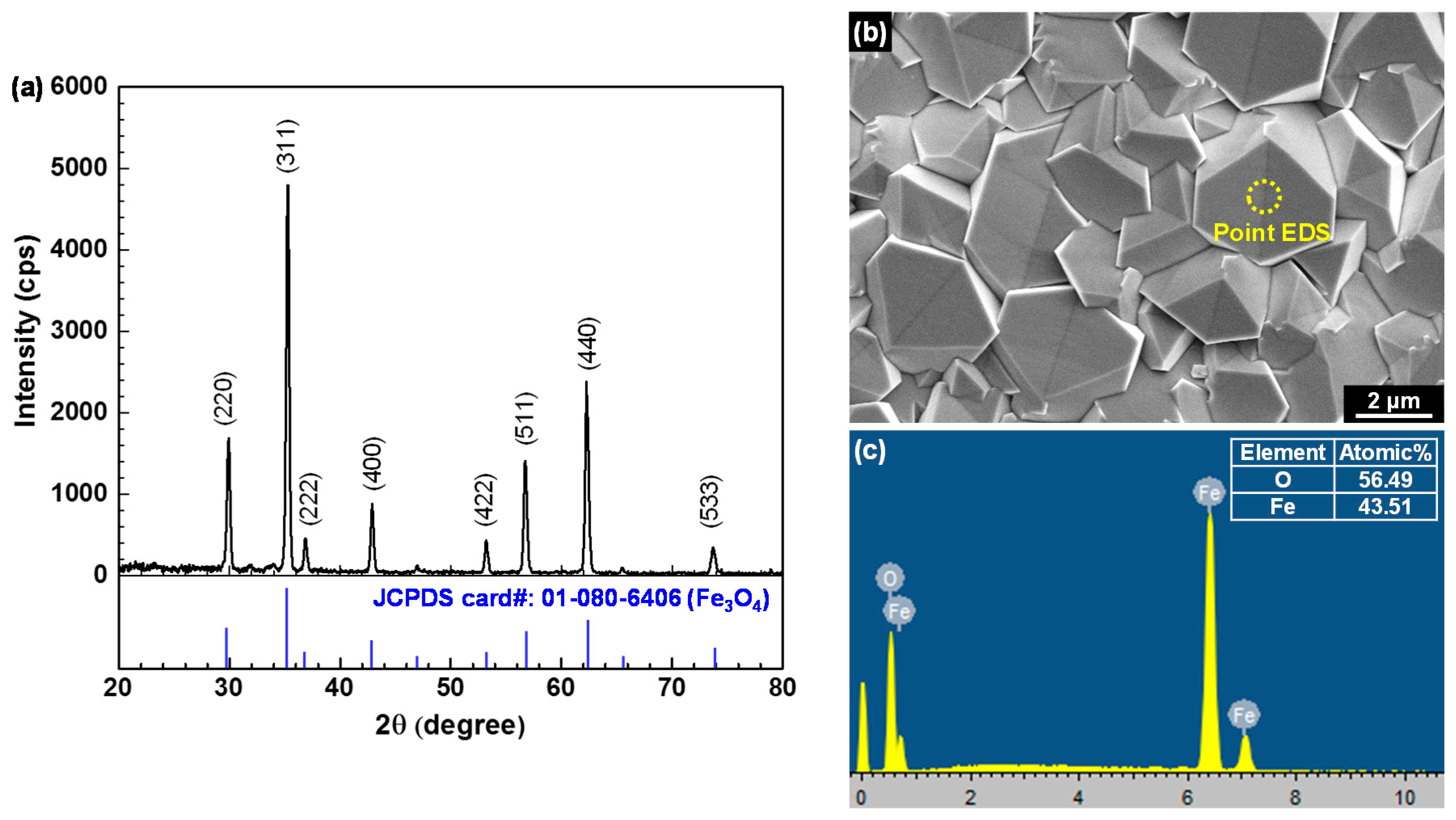 Coatings 09 00575 g003