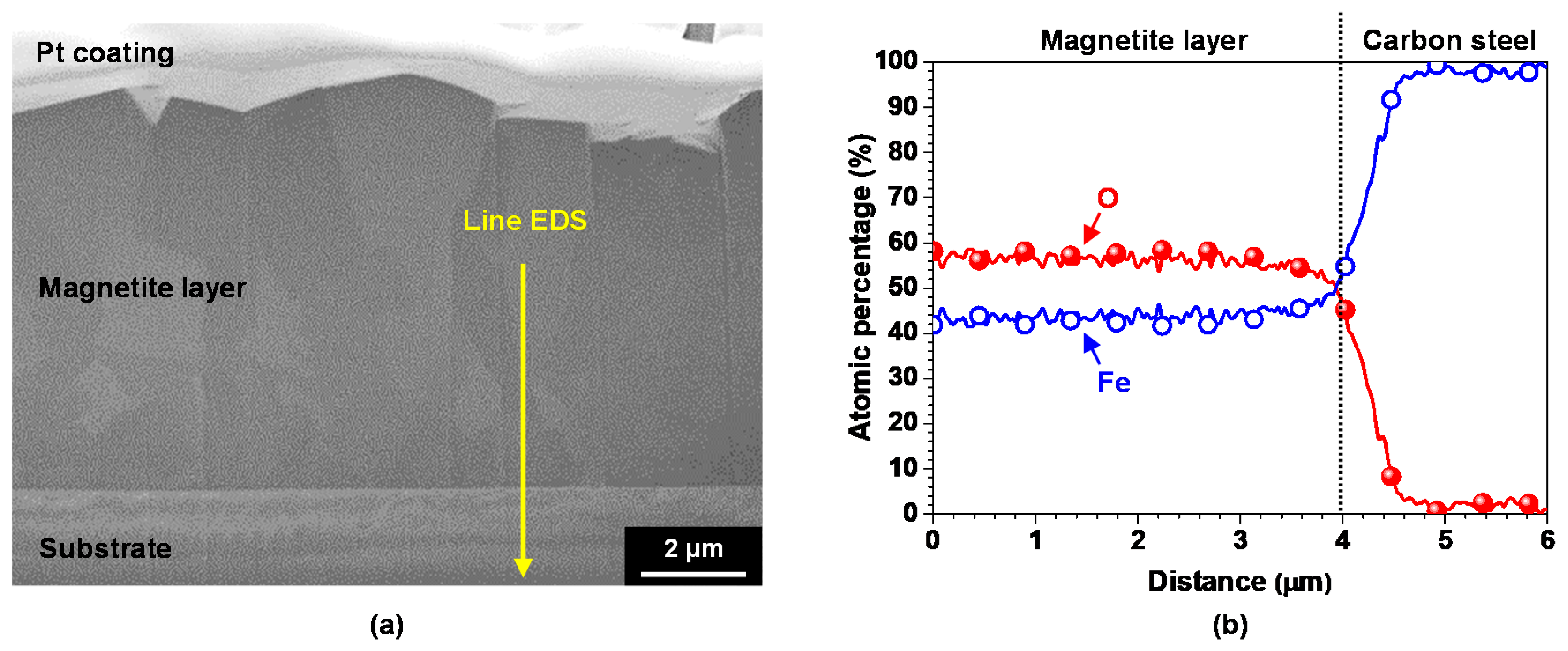 Coatings 09 00575 g004