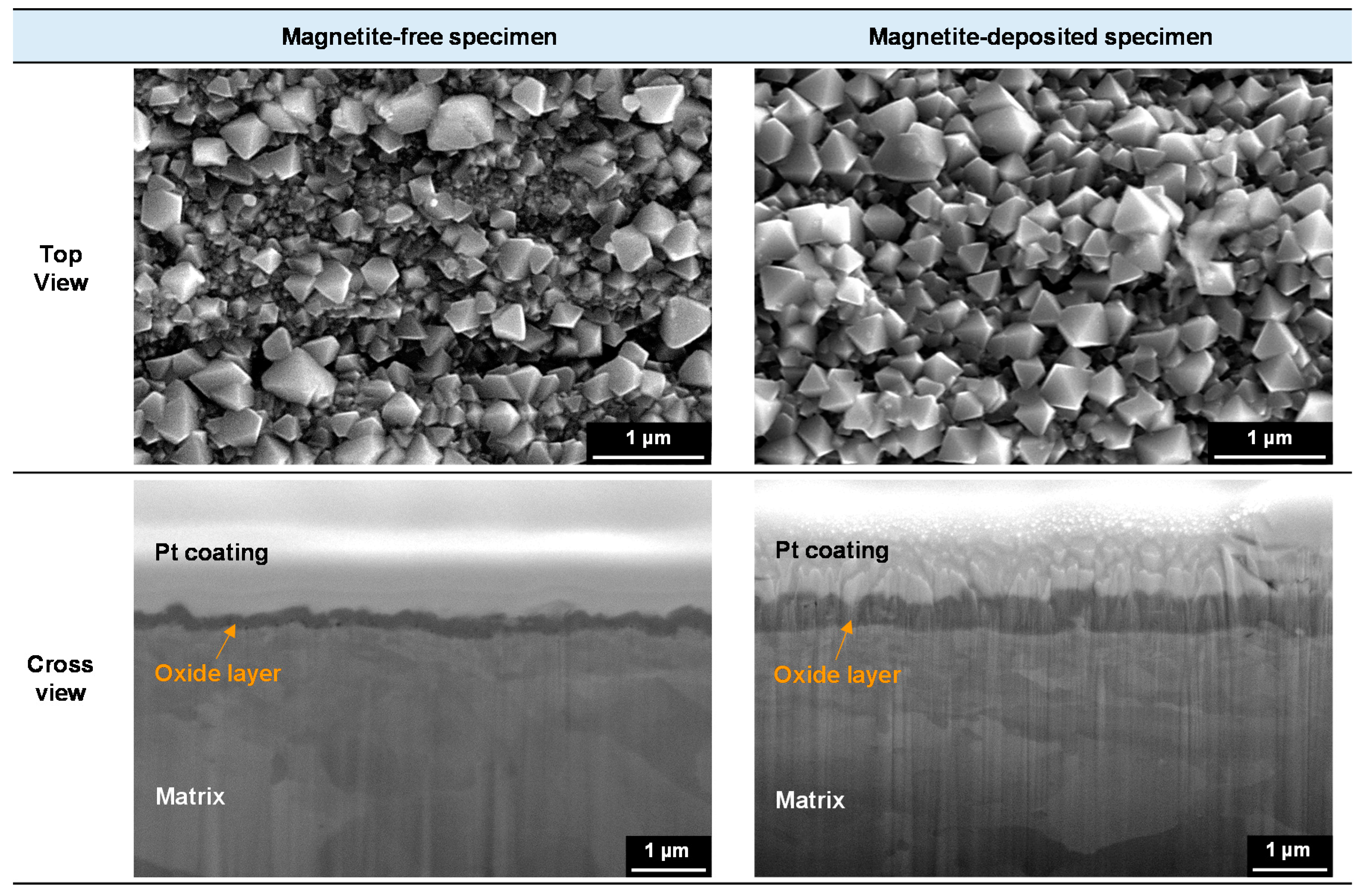 Coatings 09 00575 g005