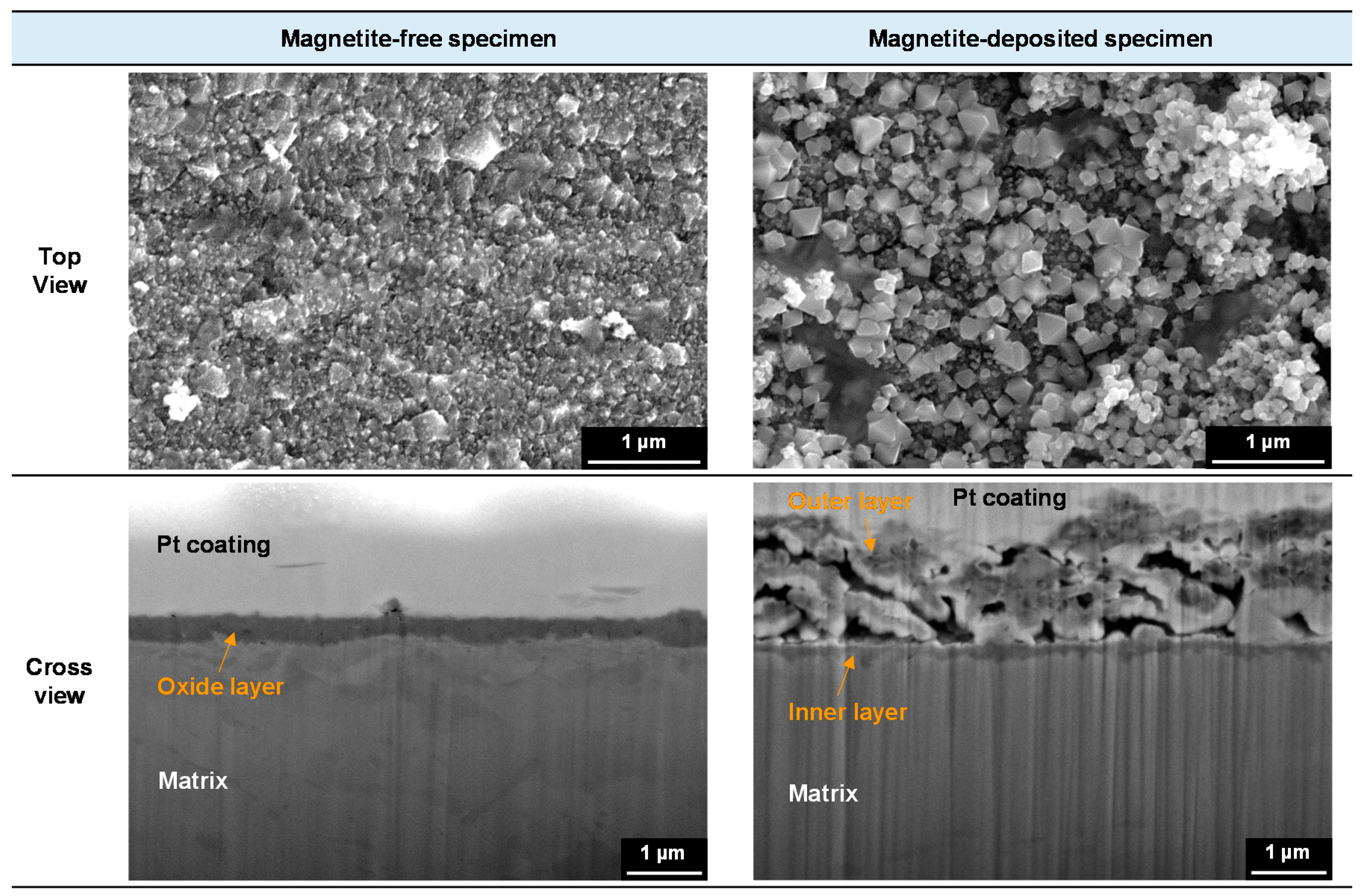Coatings 09 00575 g006