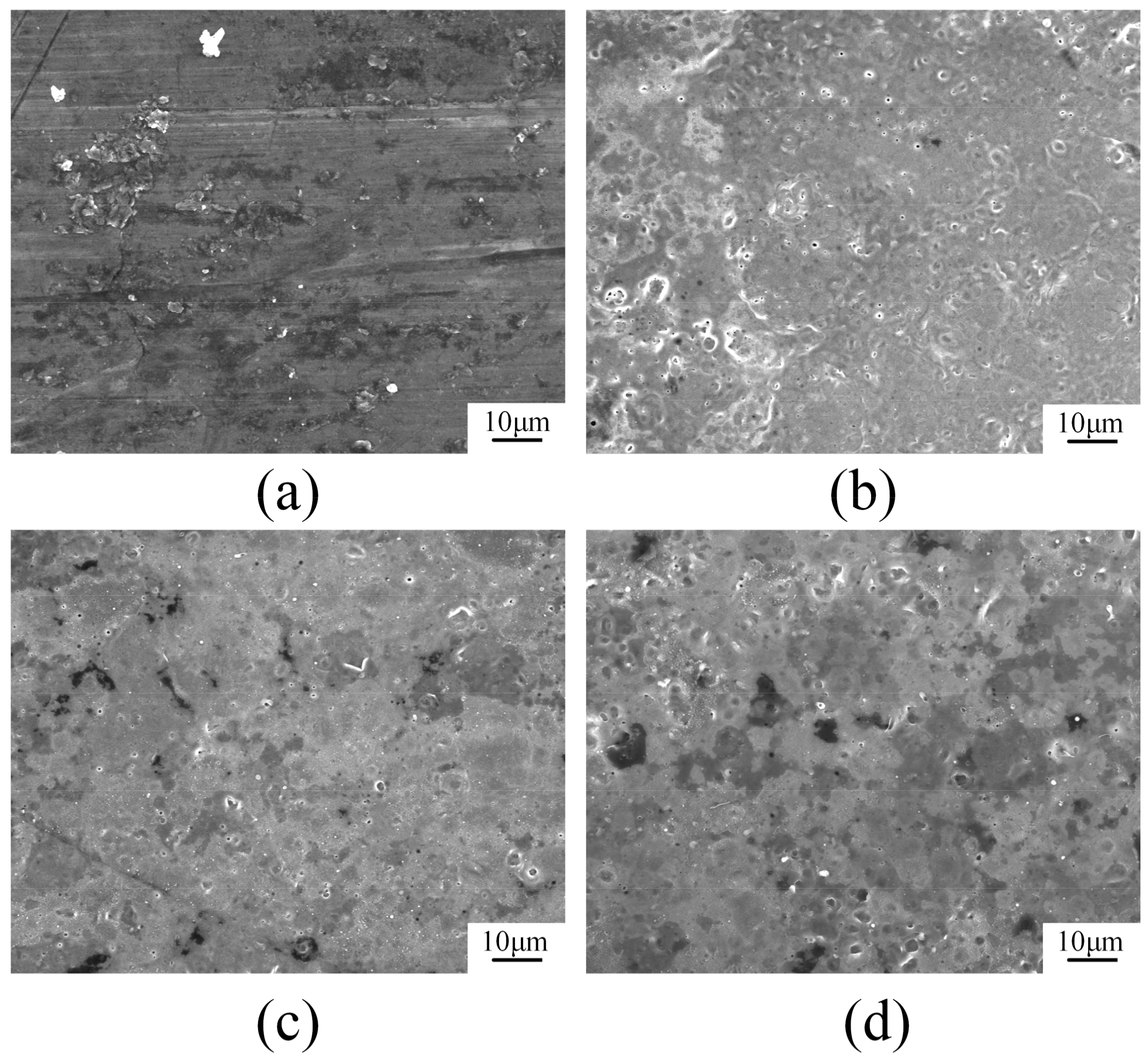 Coatings 09 00578 g007