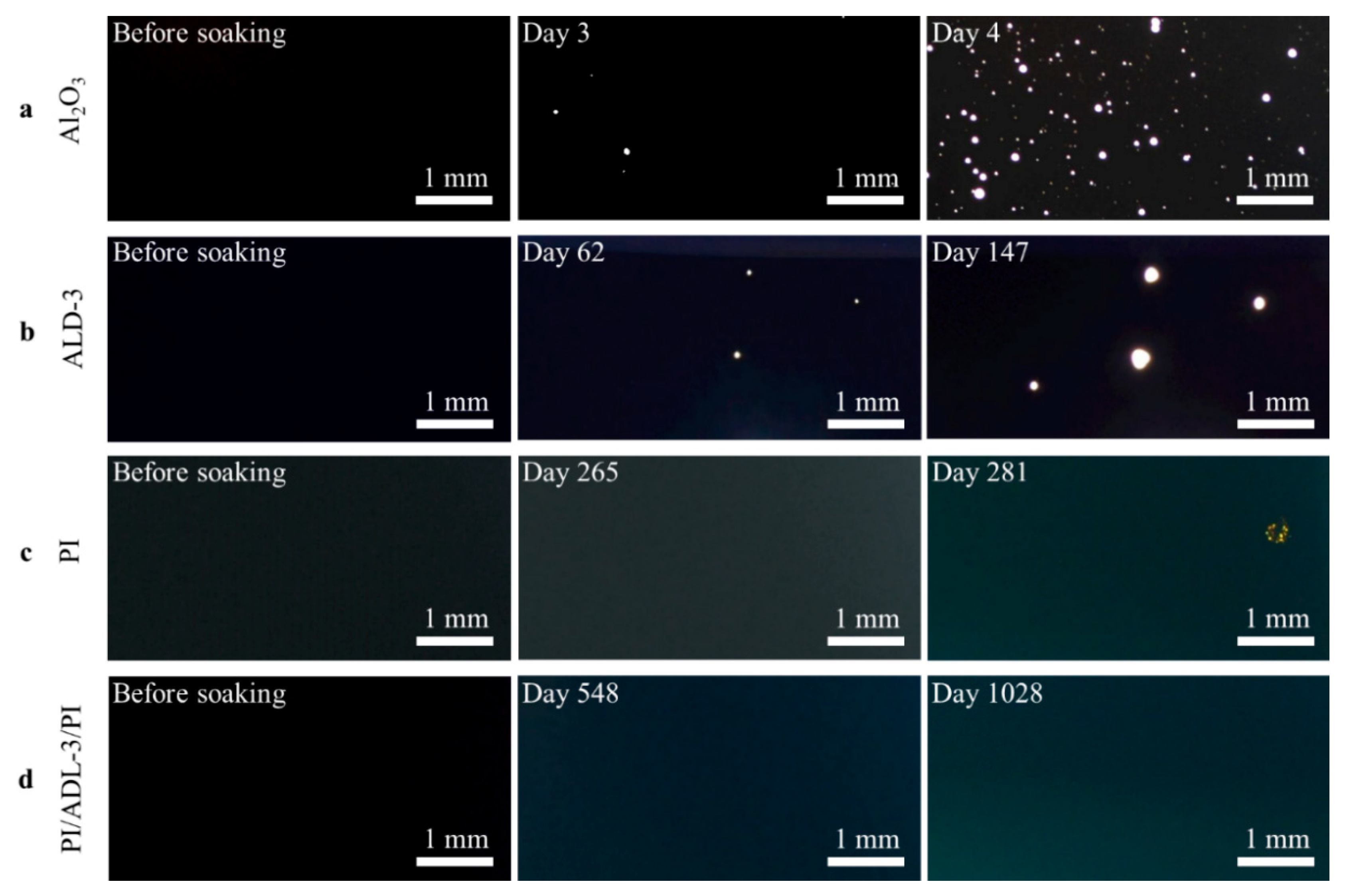 Coatings 09 00579 g004