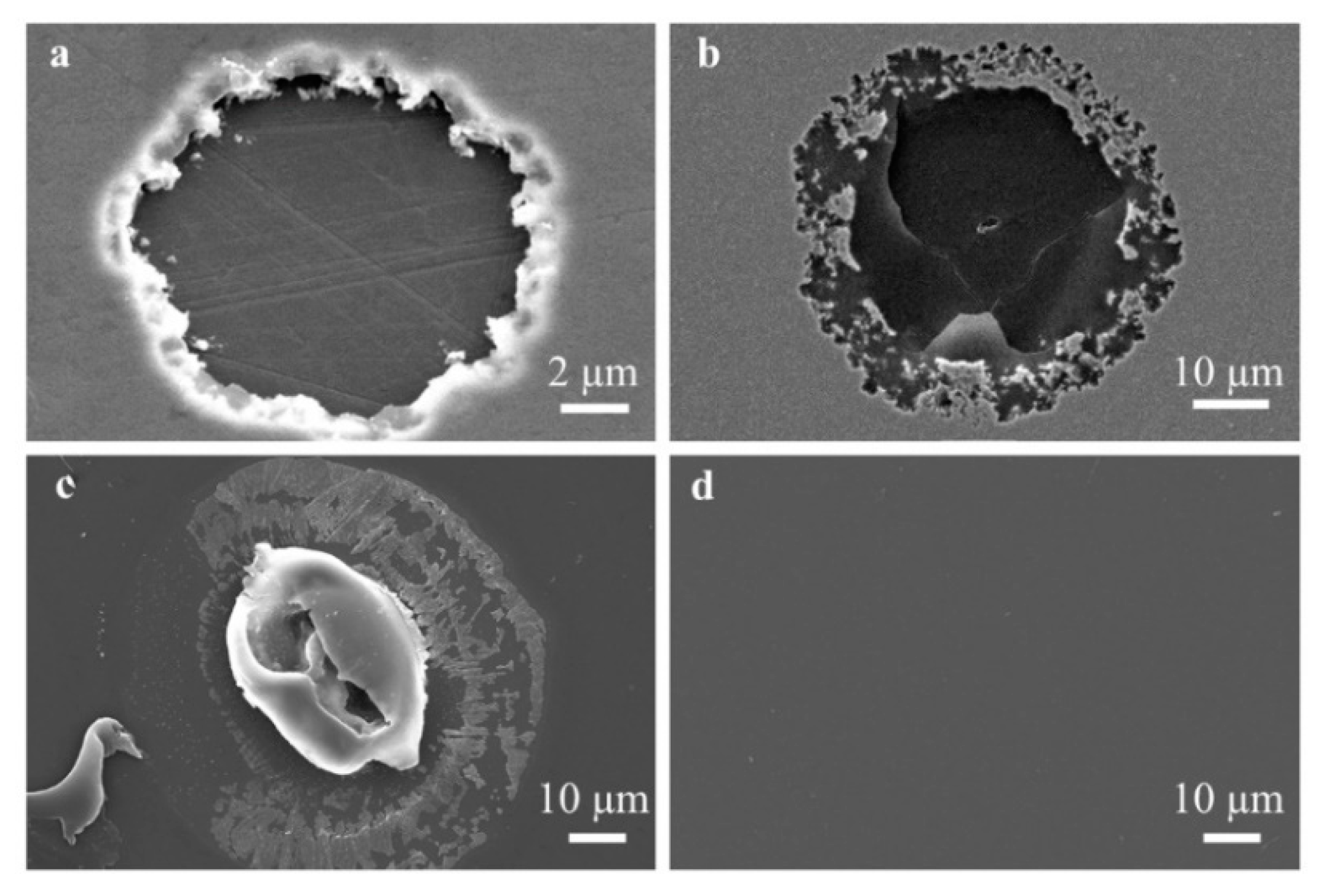 Coatings 09 00579 g006