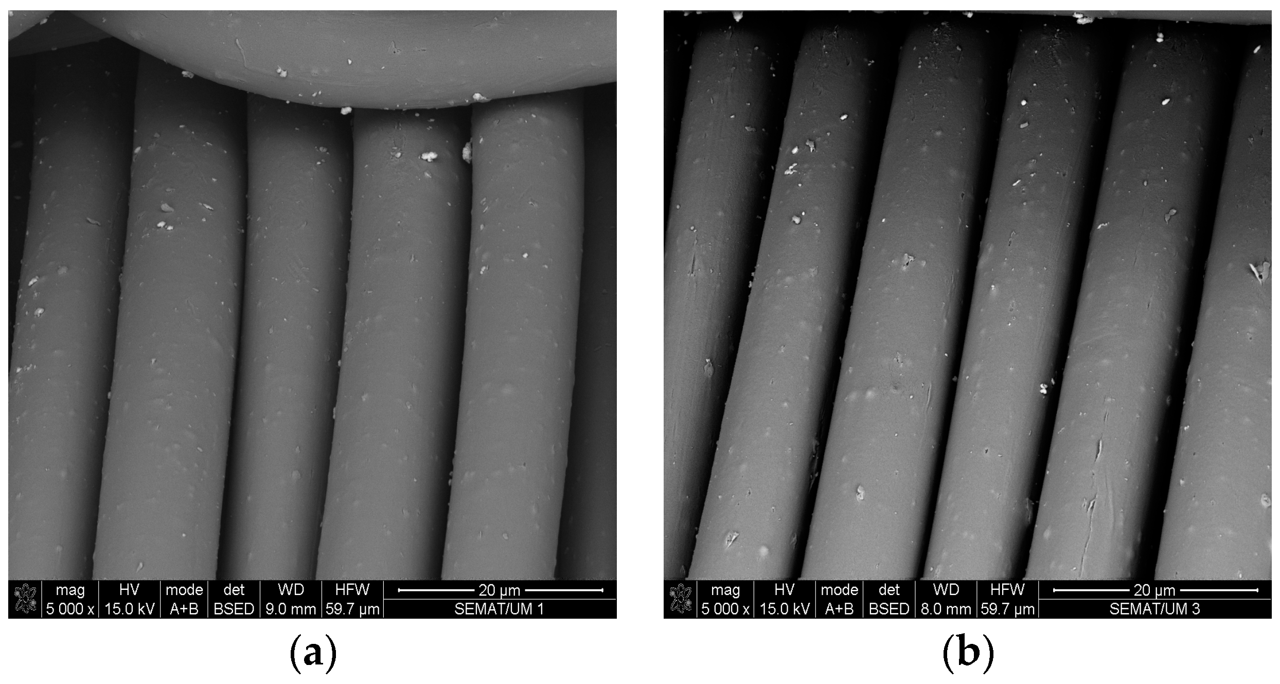 Coatings 09 00581 g003a