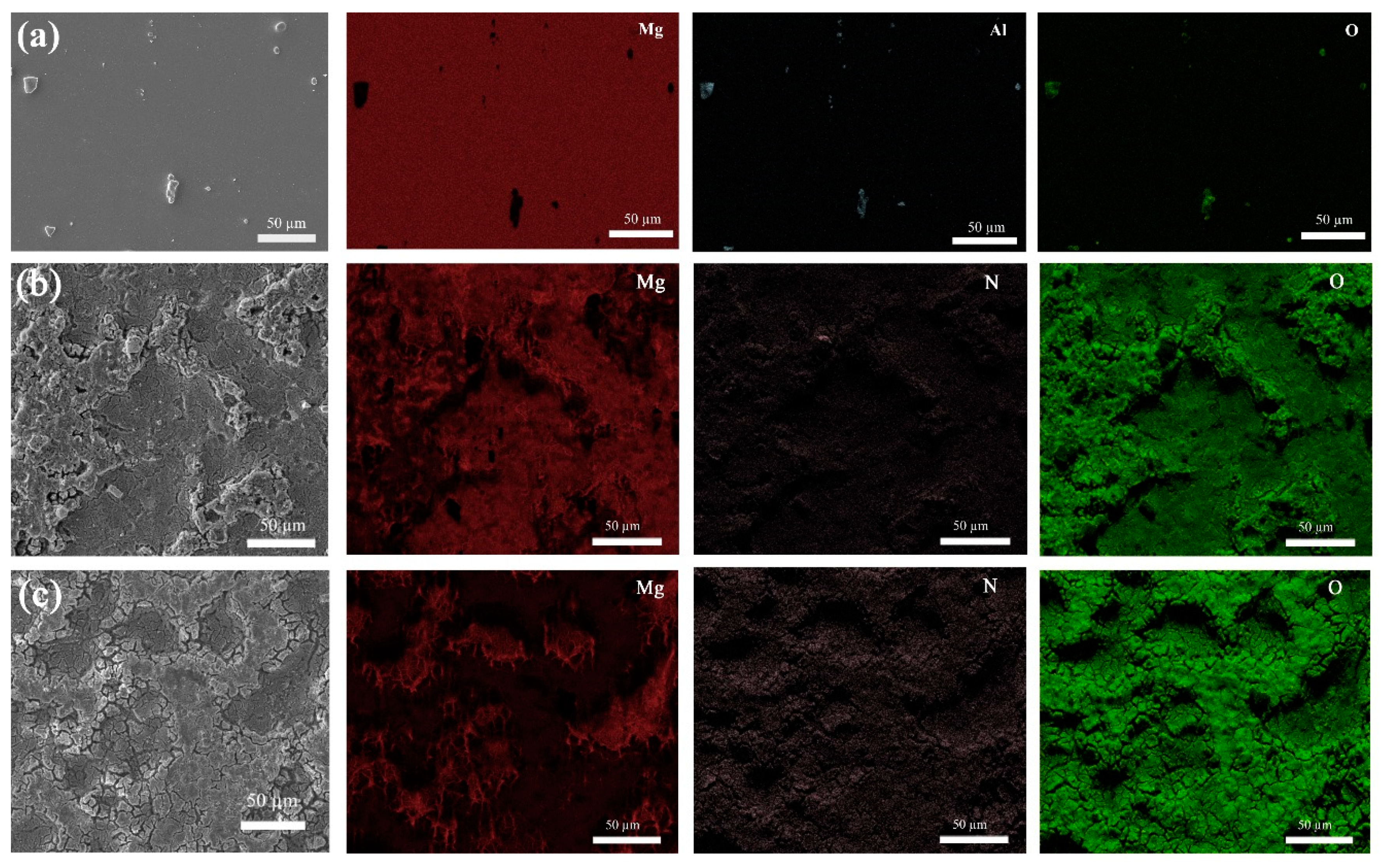 Coatings 09 00584 g001