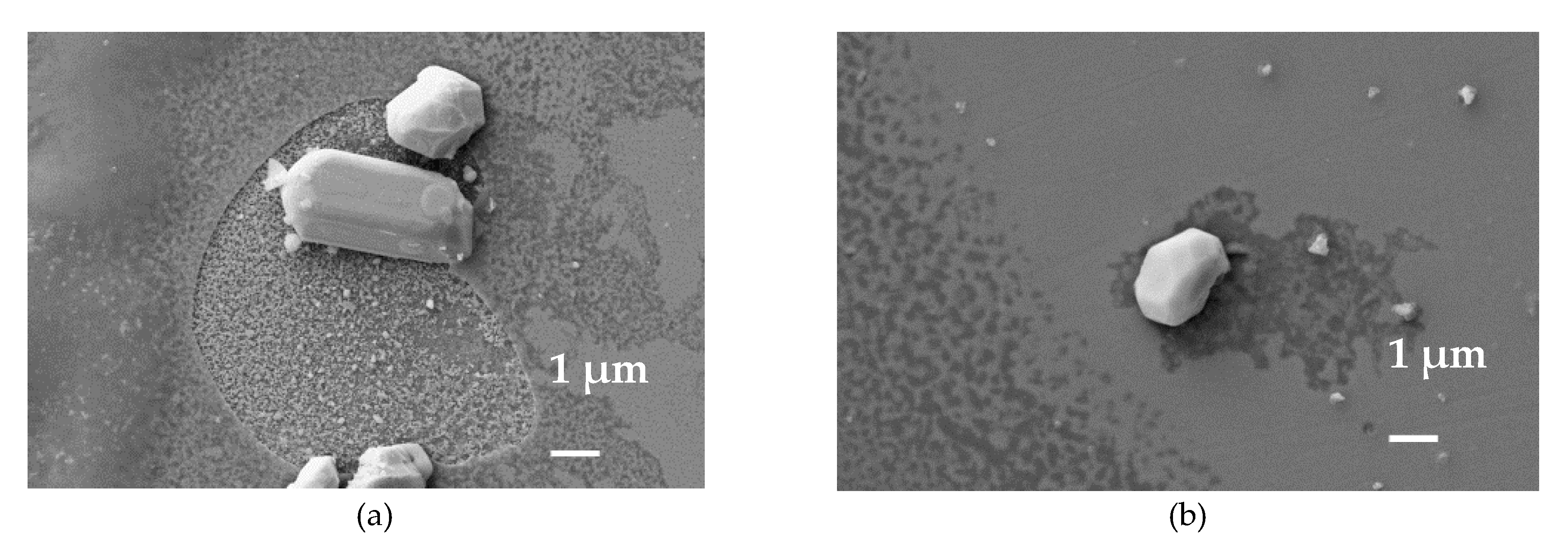 Coatings 09 00593 g007