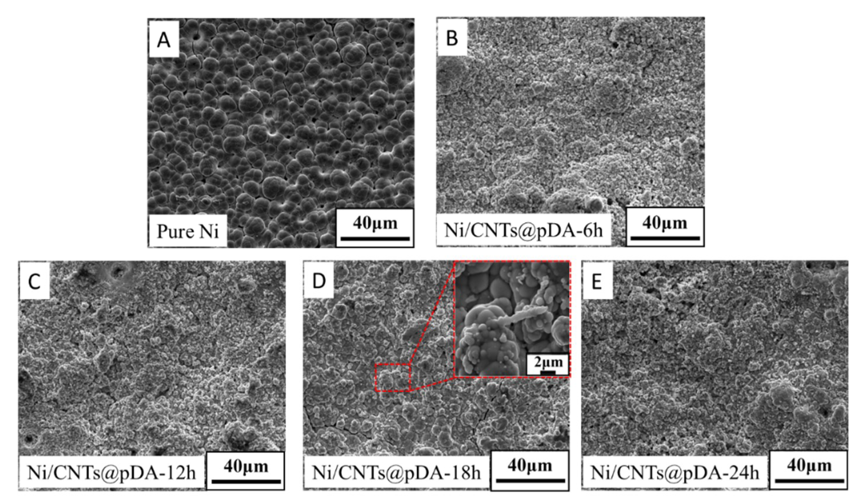 Coatings 09 00596 g006
