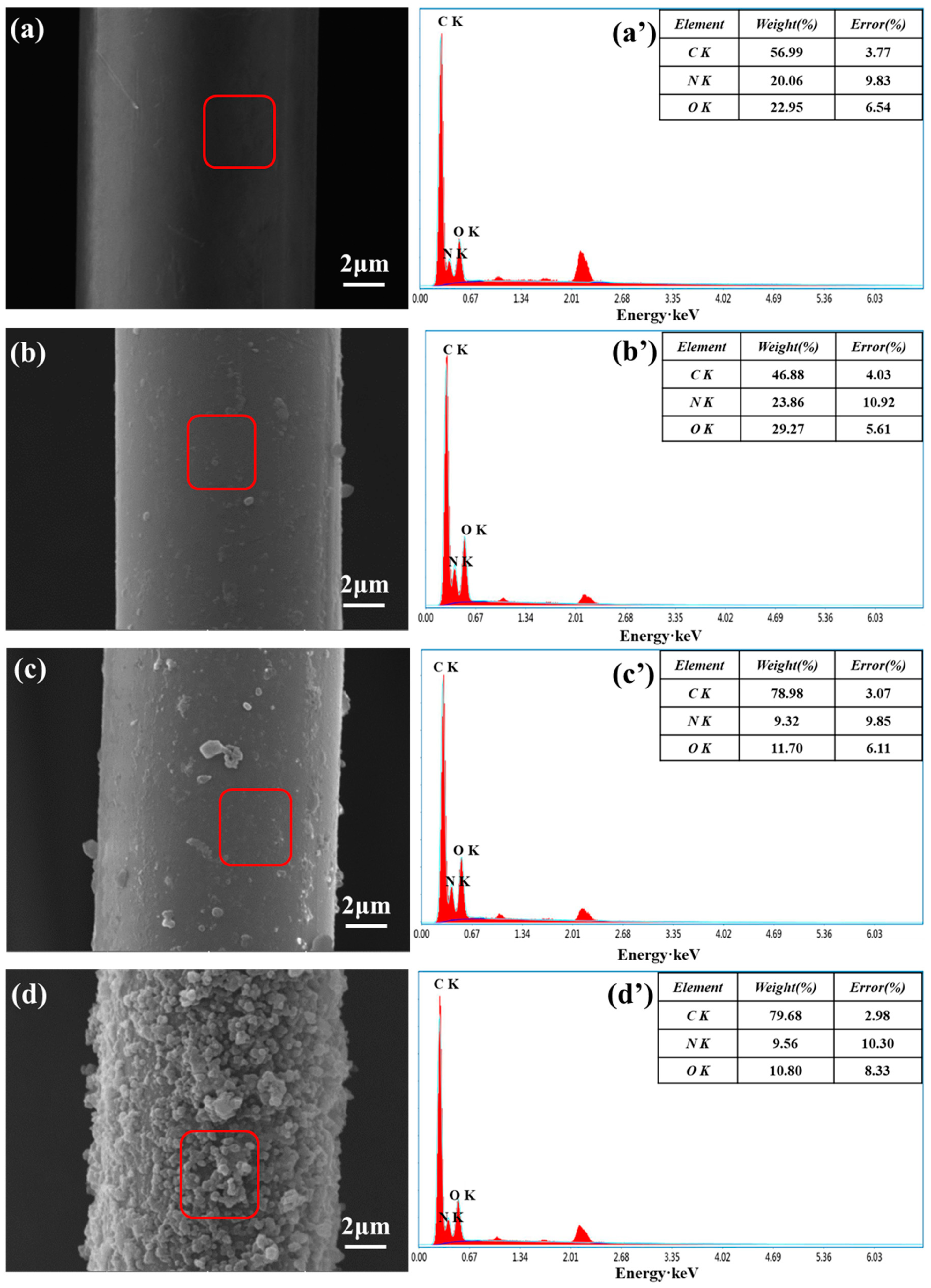 Coatings 09 00599 g003 550