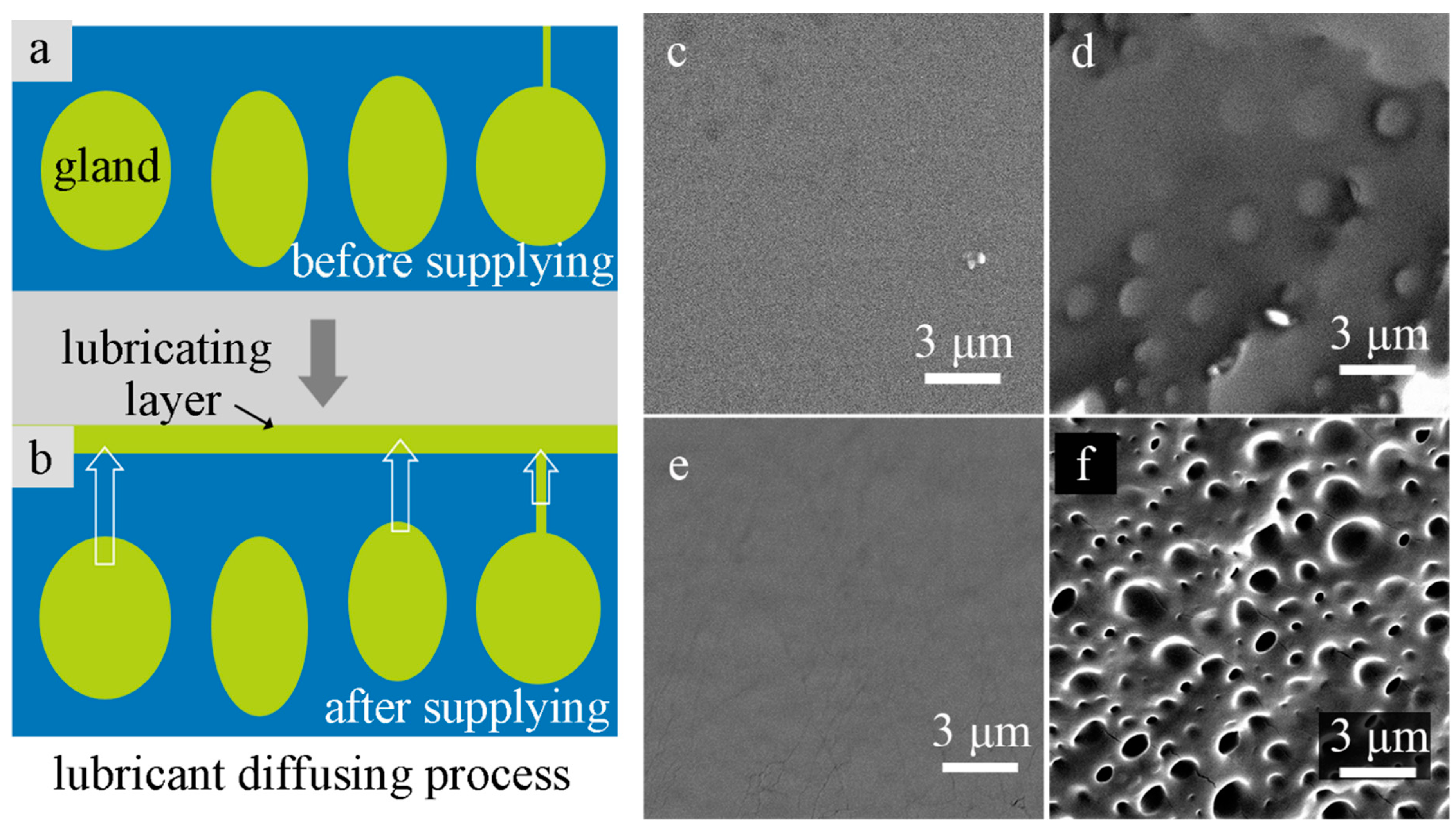 Coatings 09 00602 g001