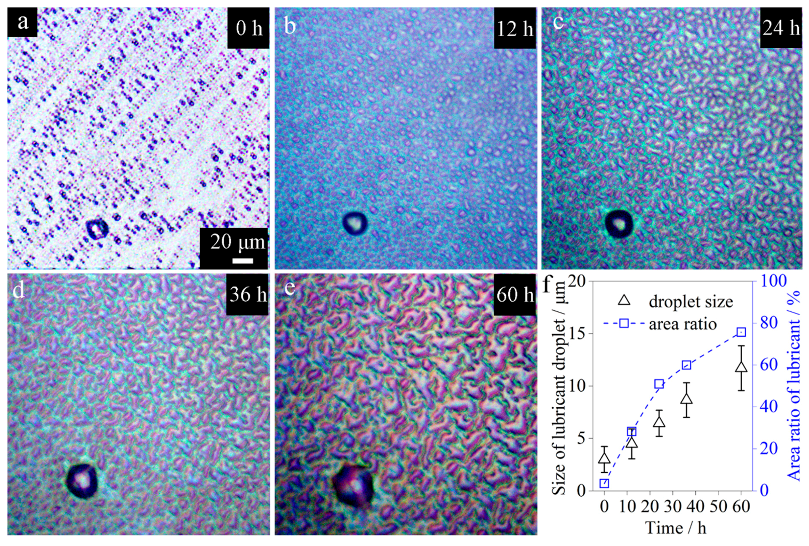 Coatings 09 00602 g004