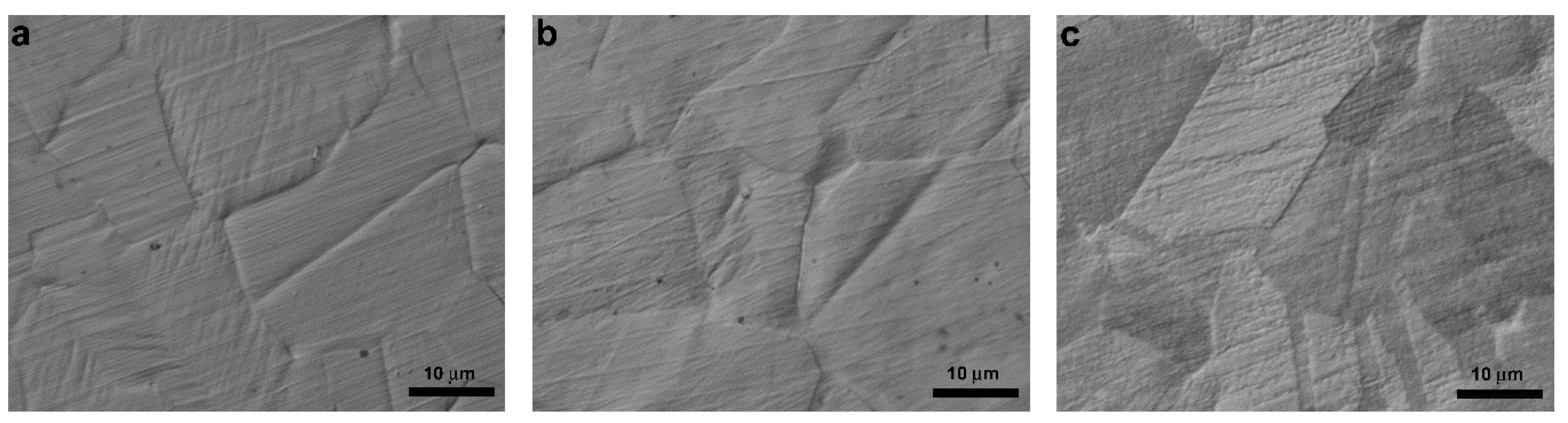 Coatings 09 00604 g002 550