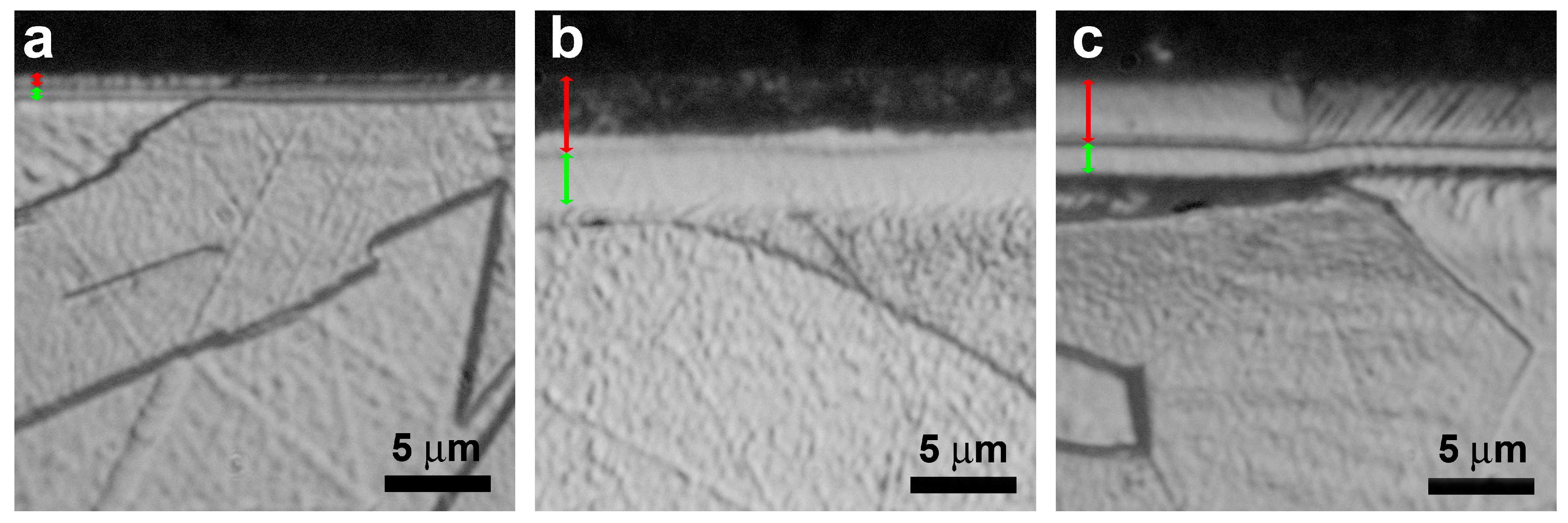 Coatings 09 00604 g003 550