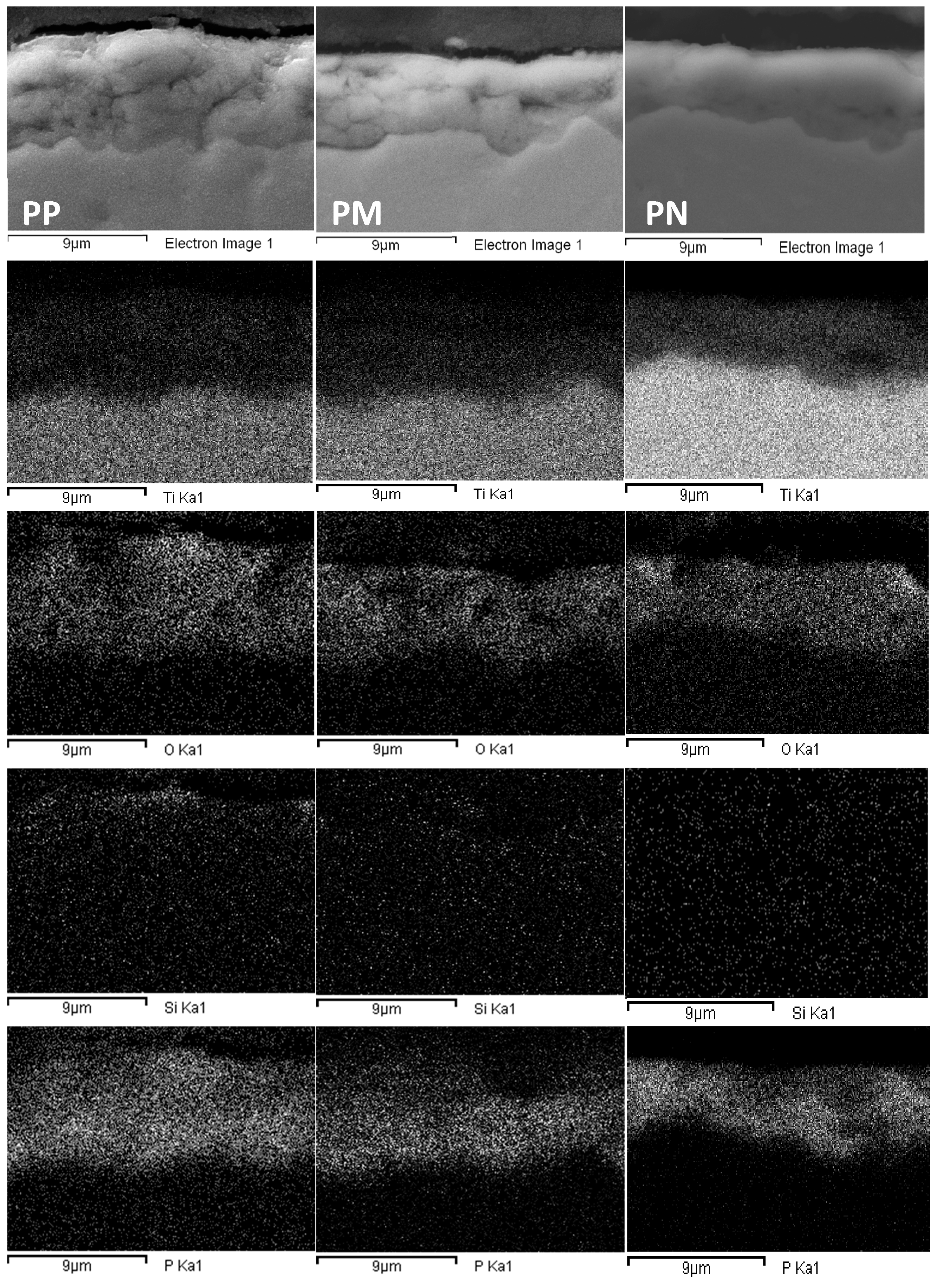 Coatings 09 00614 g004