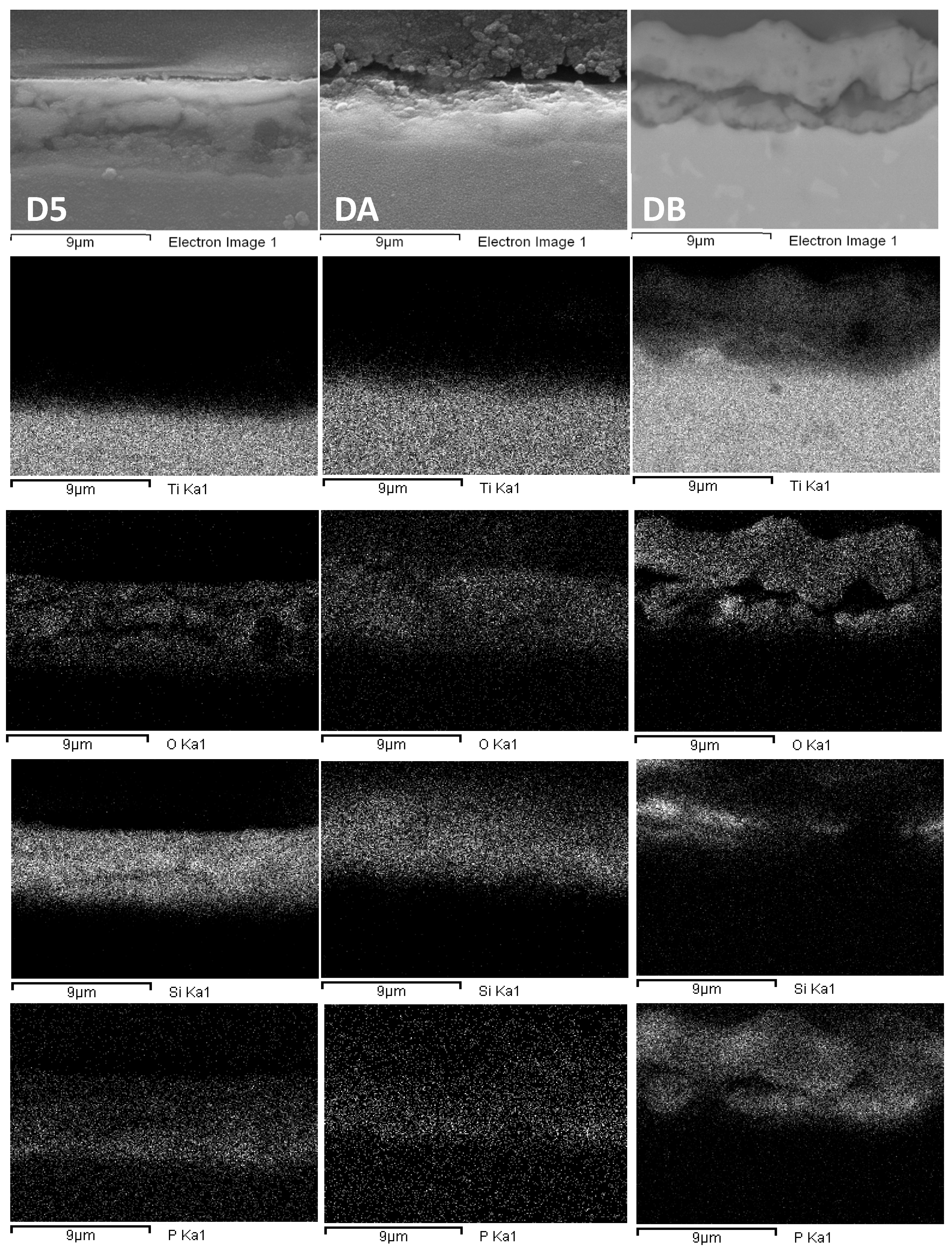 Coatings 09 00614 g006