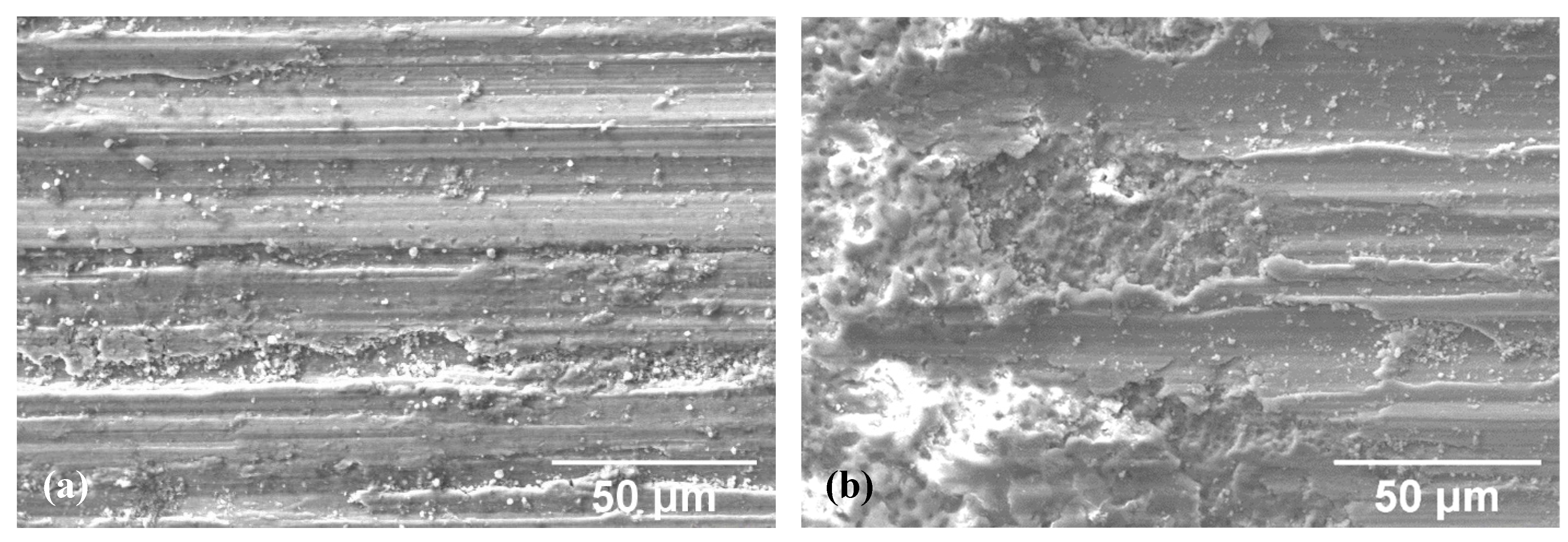 Coatings 09 00614 g009