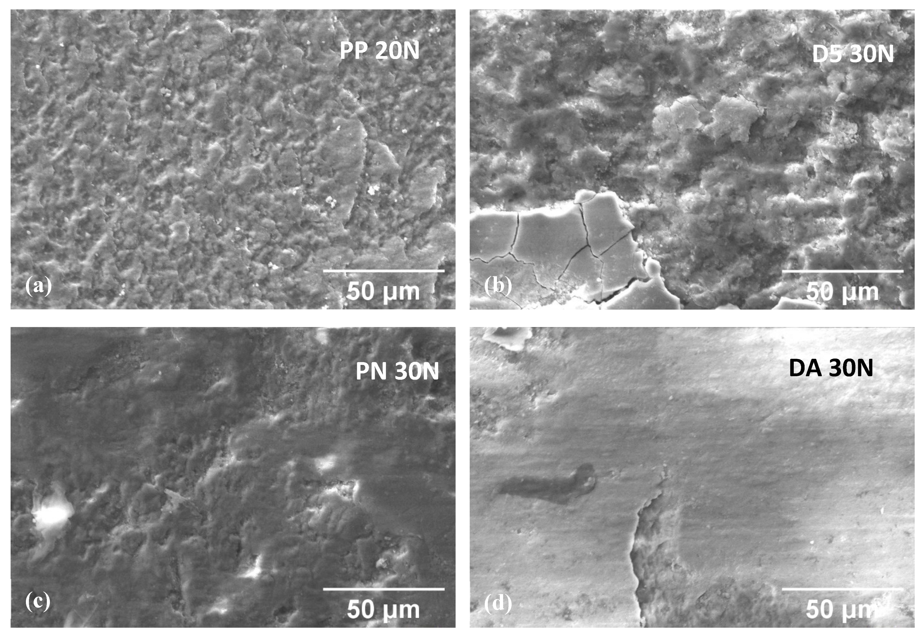 Coatings 09 00614 g012