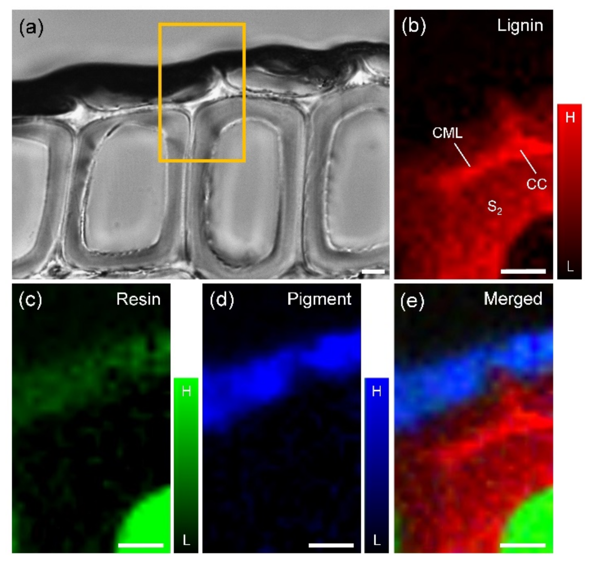 Coatings 09 00621 g002 Coatings 09 00621 g002