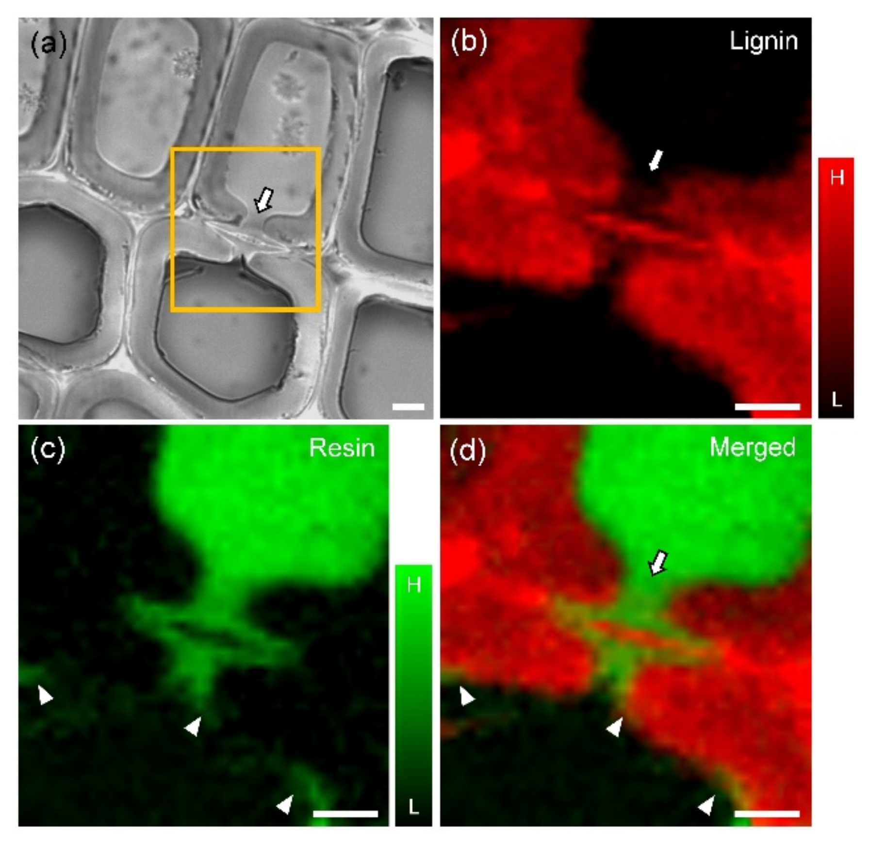 Coatings 09 00621 g003 Coatings 09 00621 g003