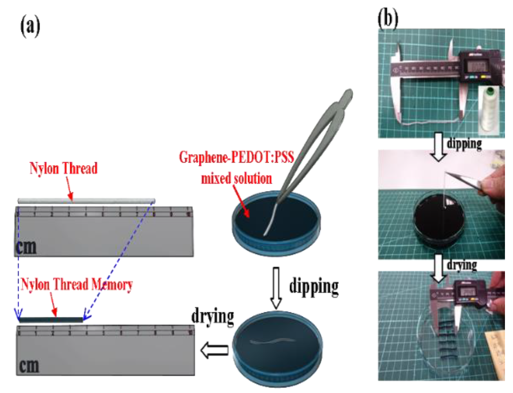Coatings 09 00623 g001