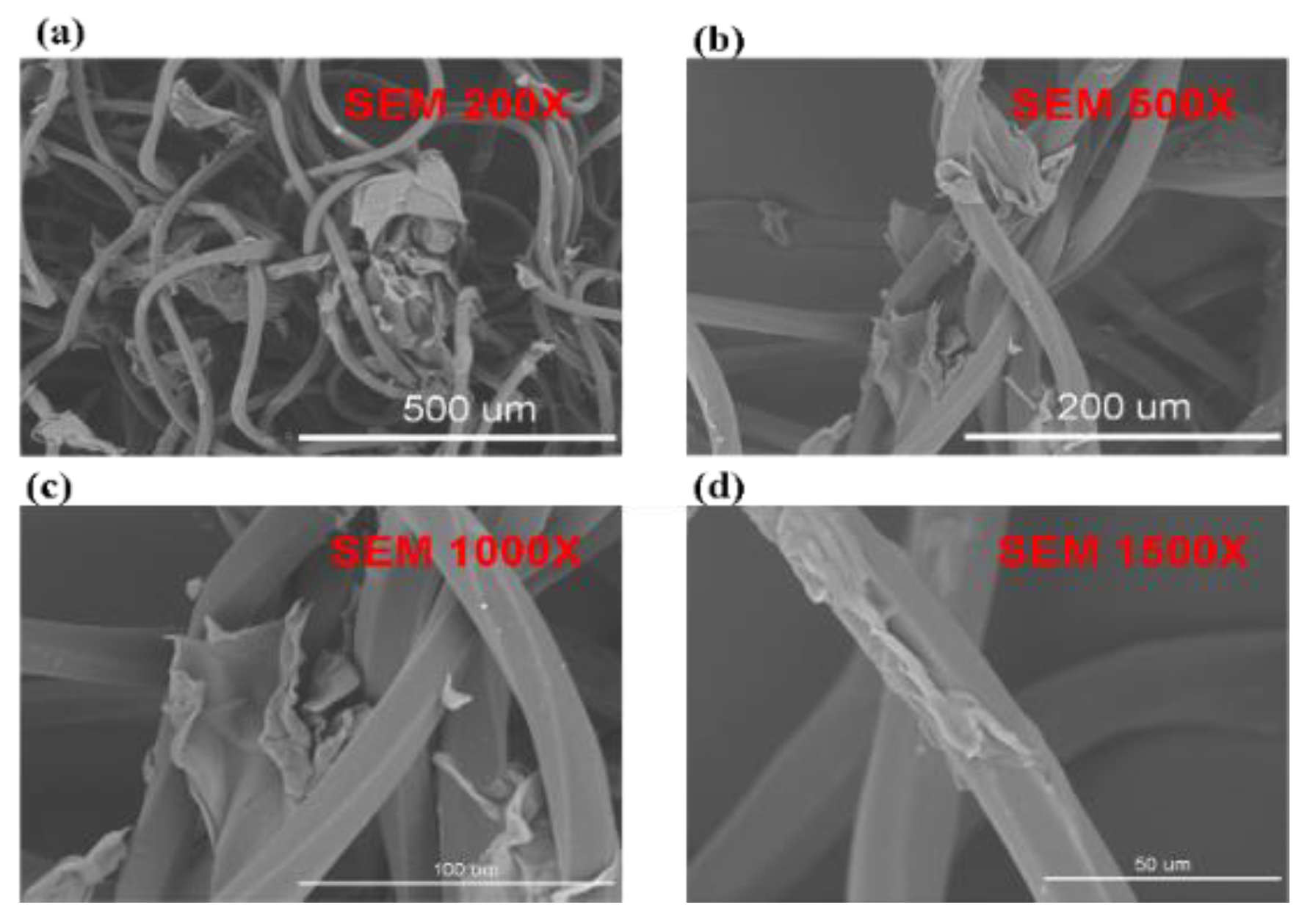 Coatings 09 00623 g002
