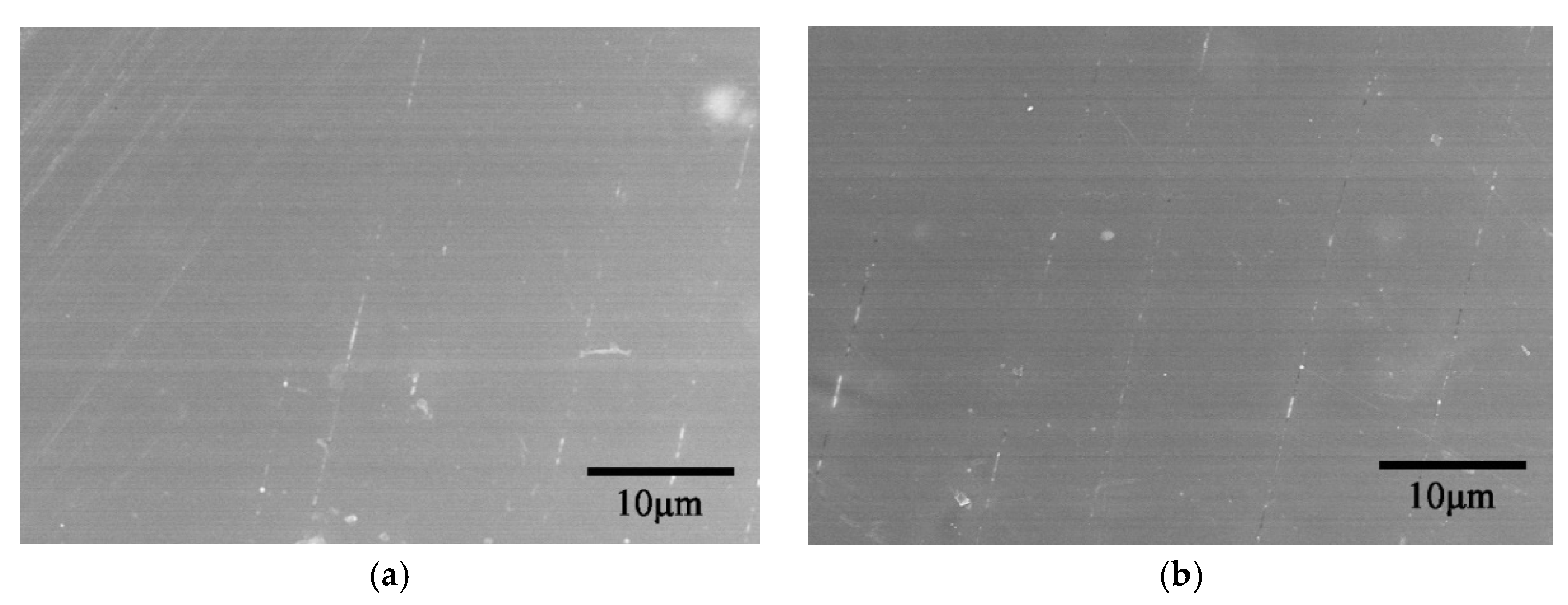 Coatings 09 00624 g007