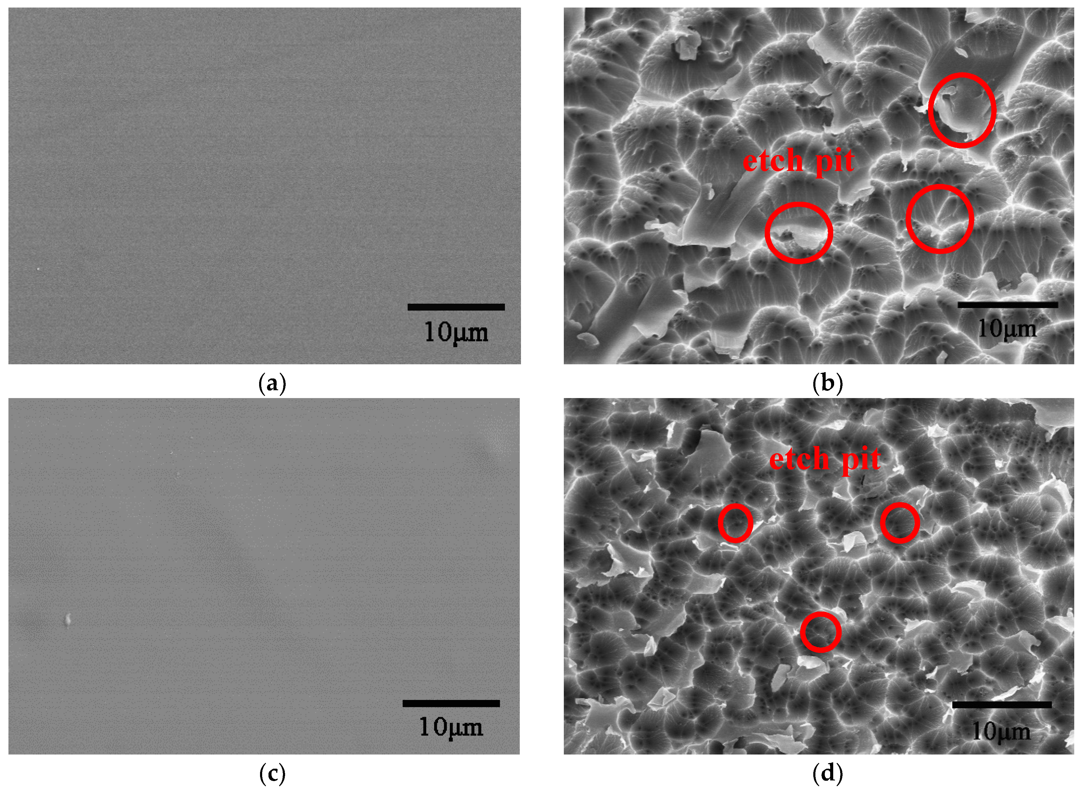 Coatings 09 00624 g009