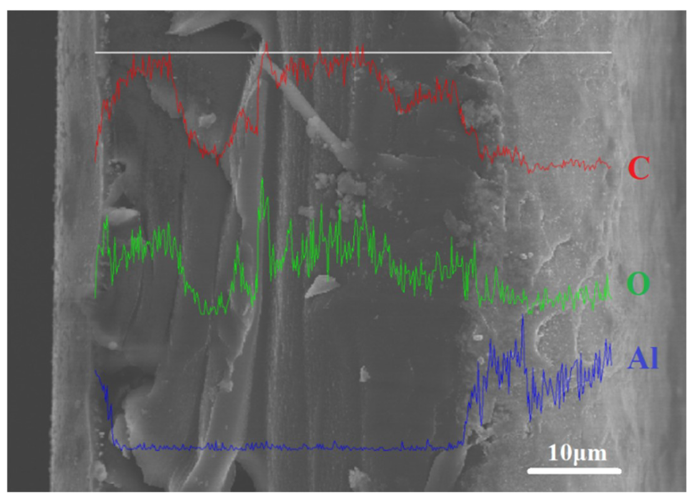 Coatings 09 00624 g014