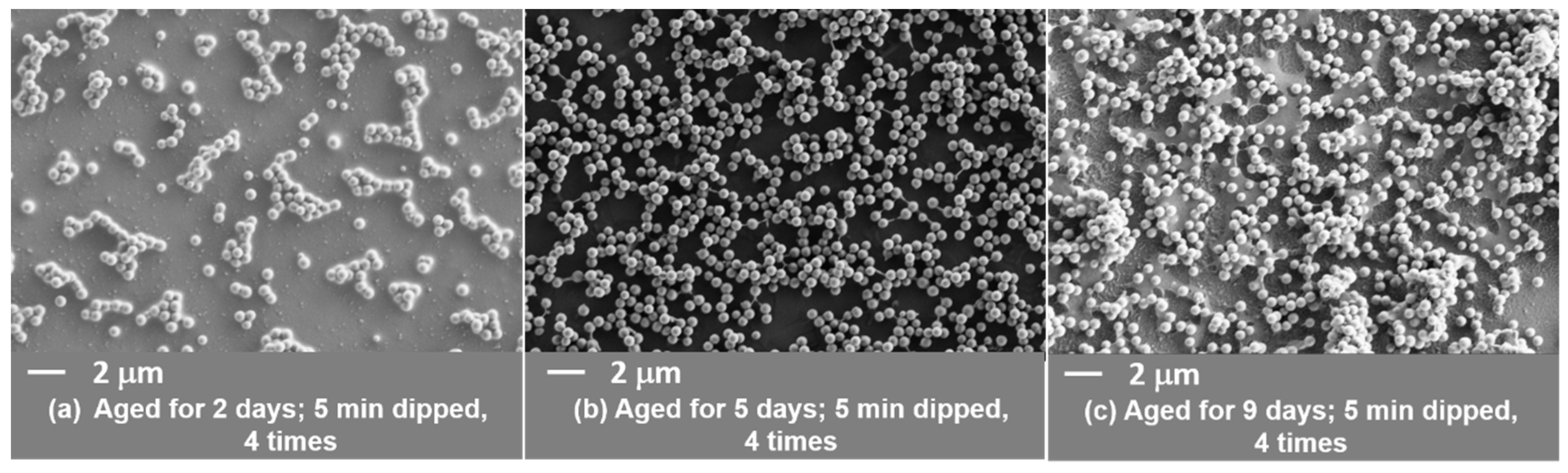 Coatings 09 00627 g005