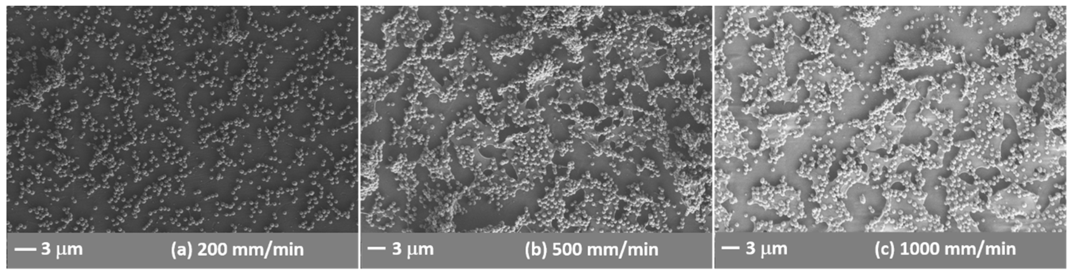Coatings 09 00627 g006