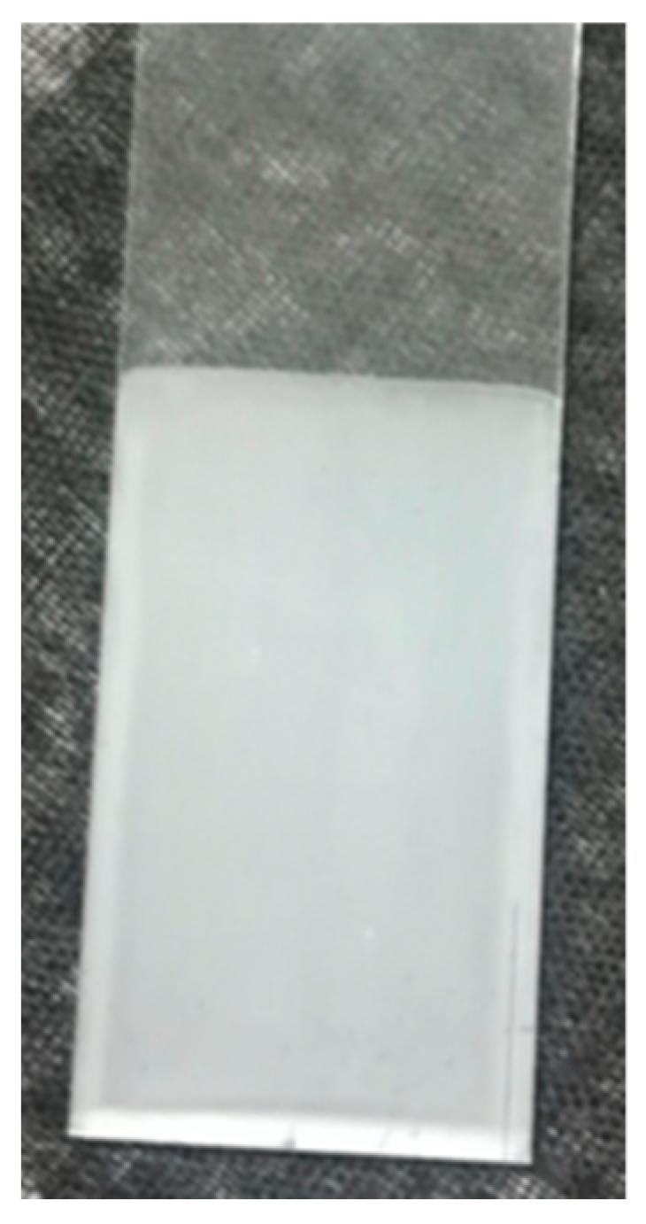 Coatings 09 00627 g007