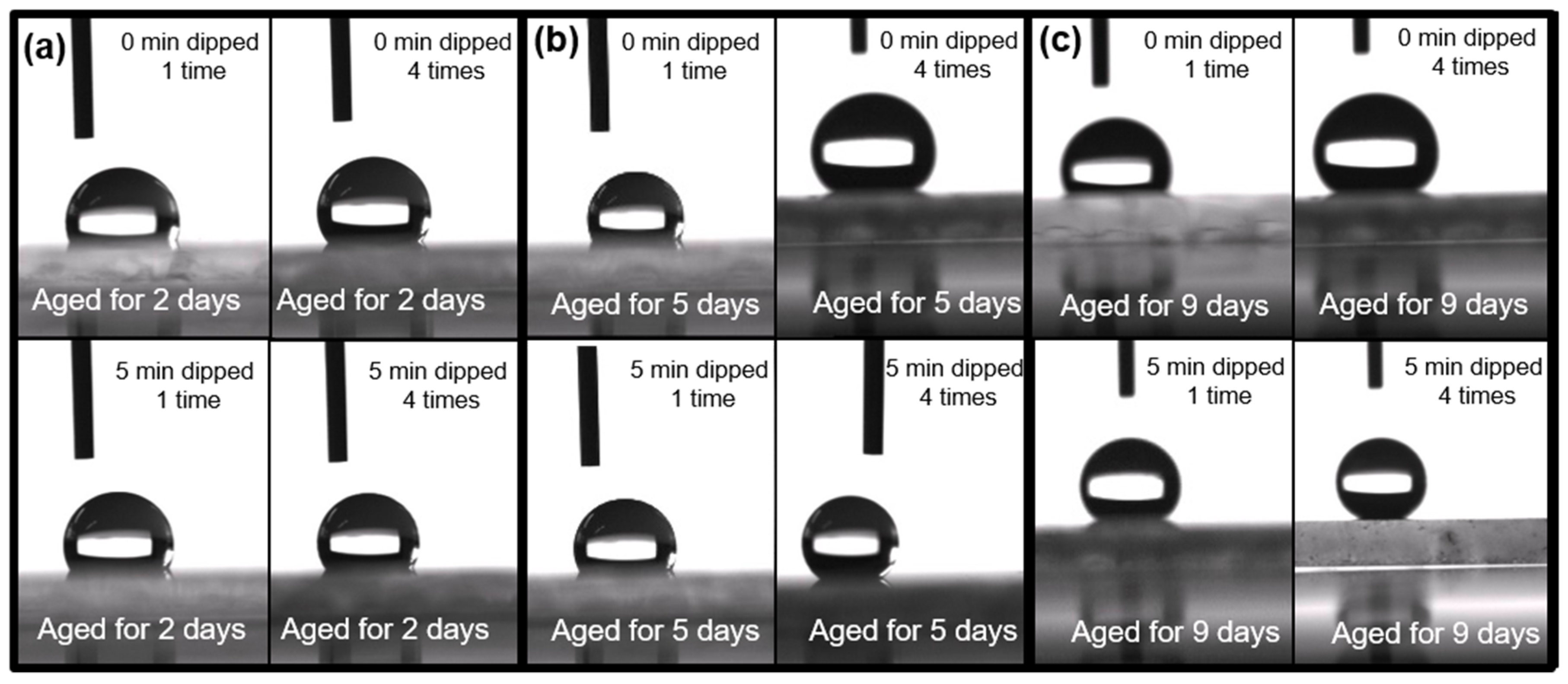 Coatings 09 00627 g009