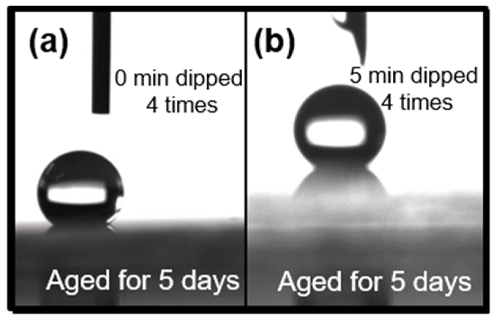Coatings 09 00627 g010