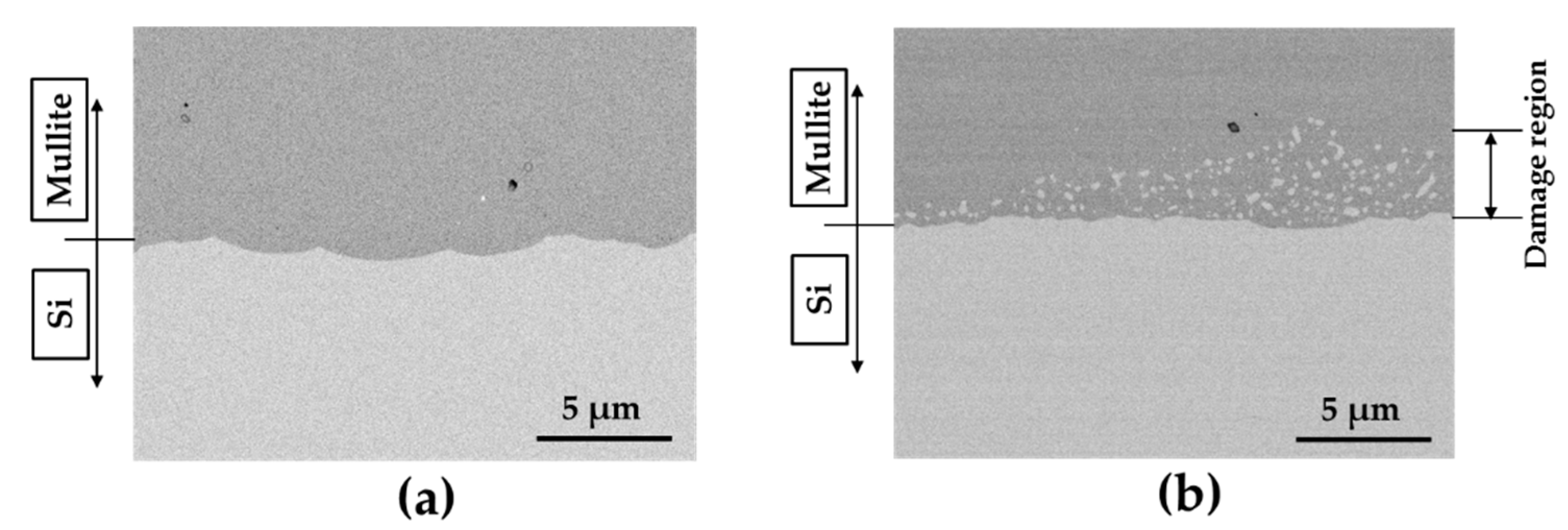 Coatings 09 00630 g004 550