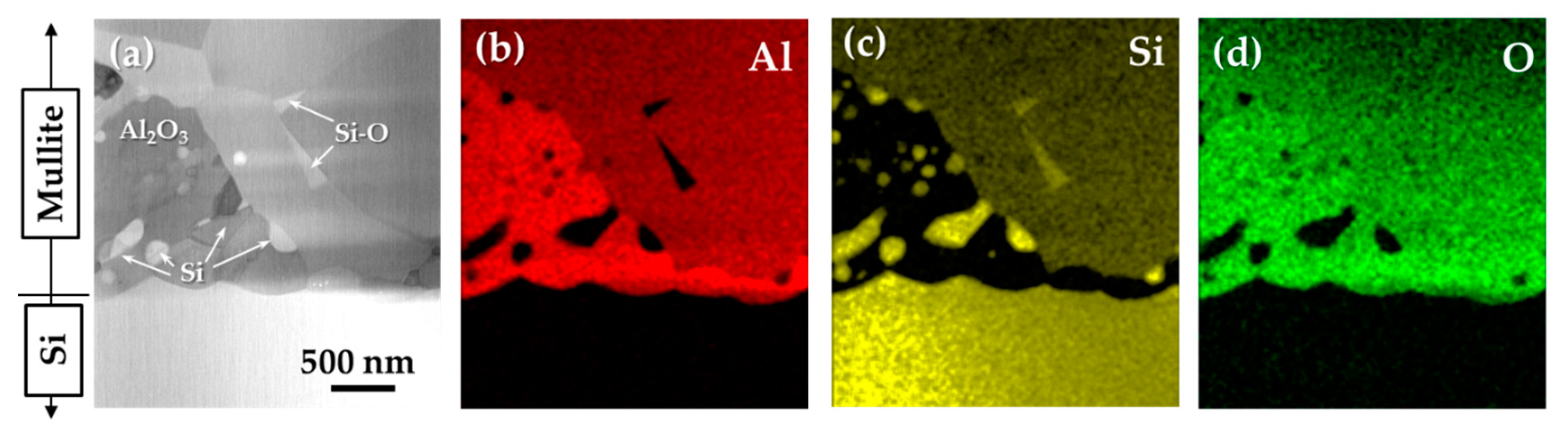 Coatings 09 00630 g005 550