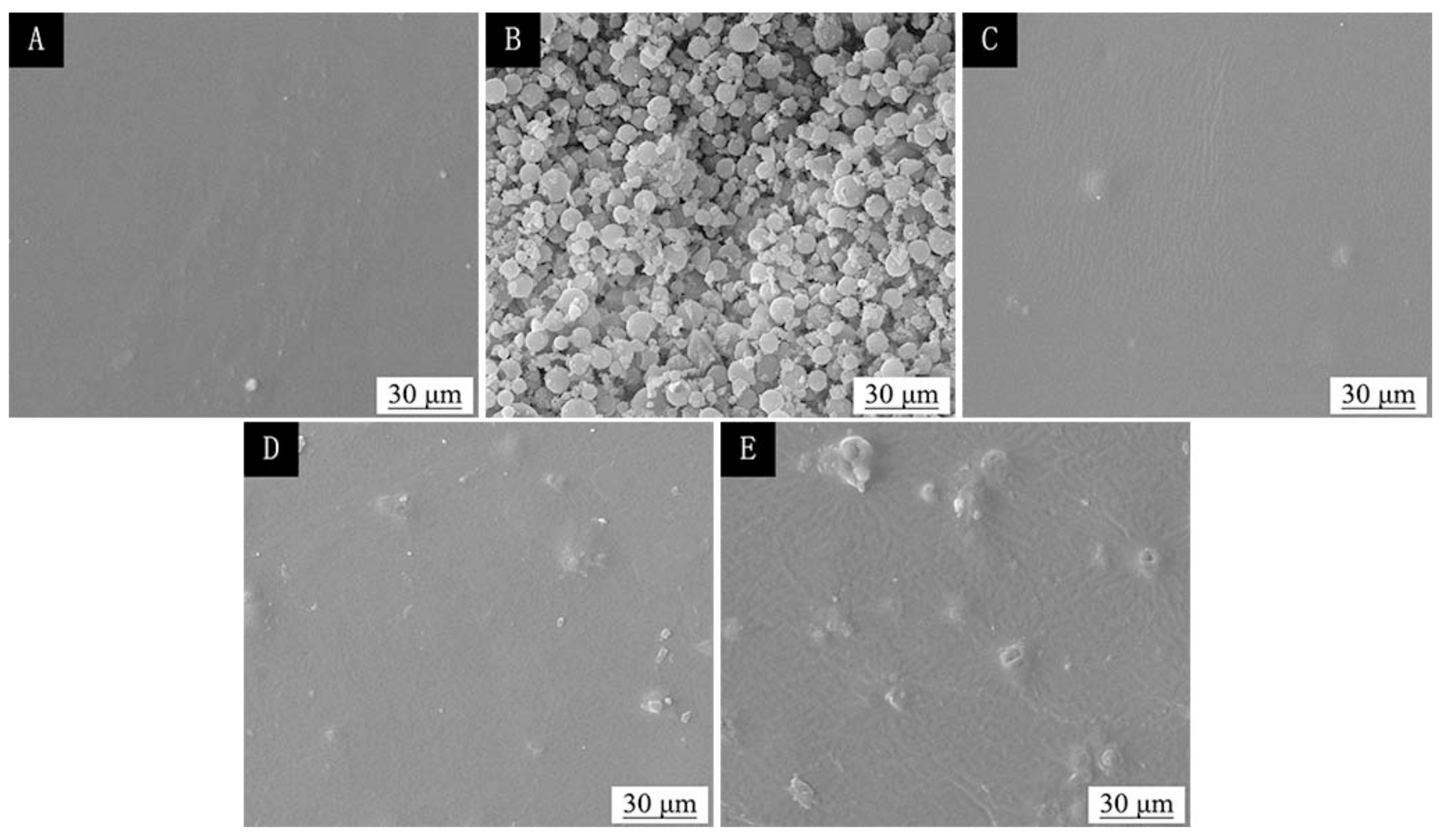 Coatings 09 00635 g003