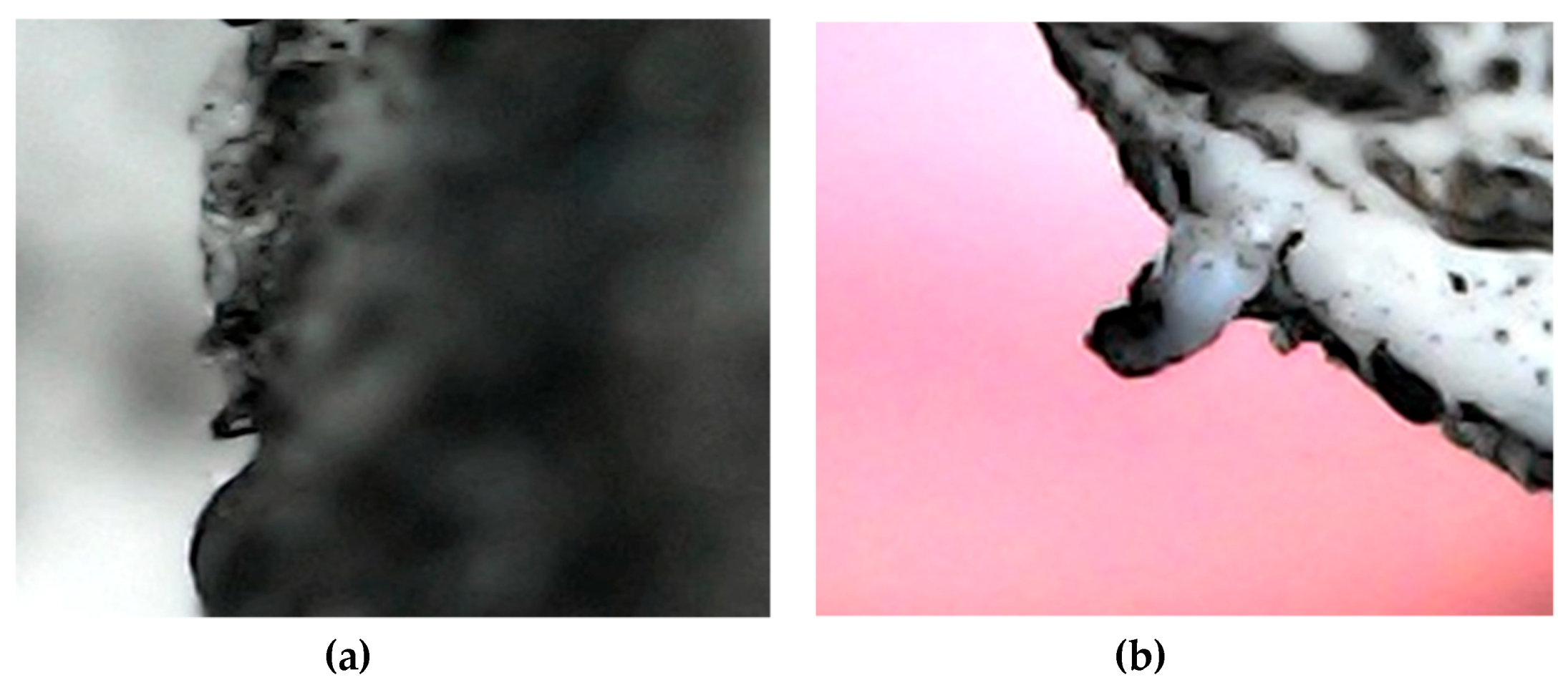 Coatings 09 00637 g015