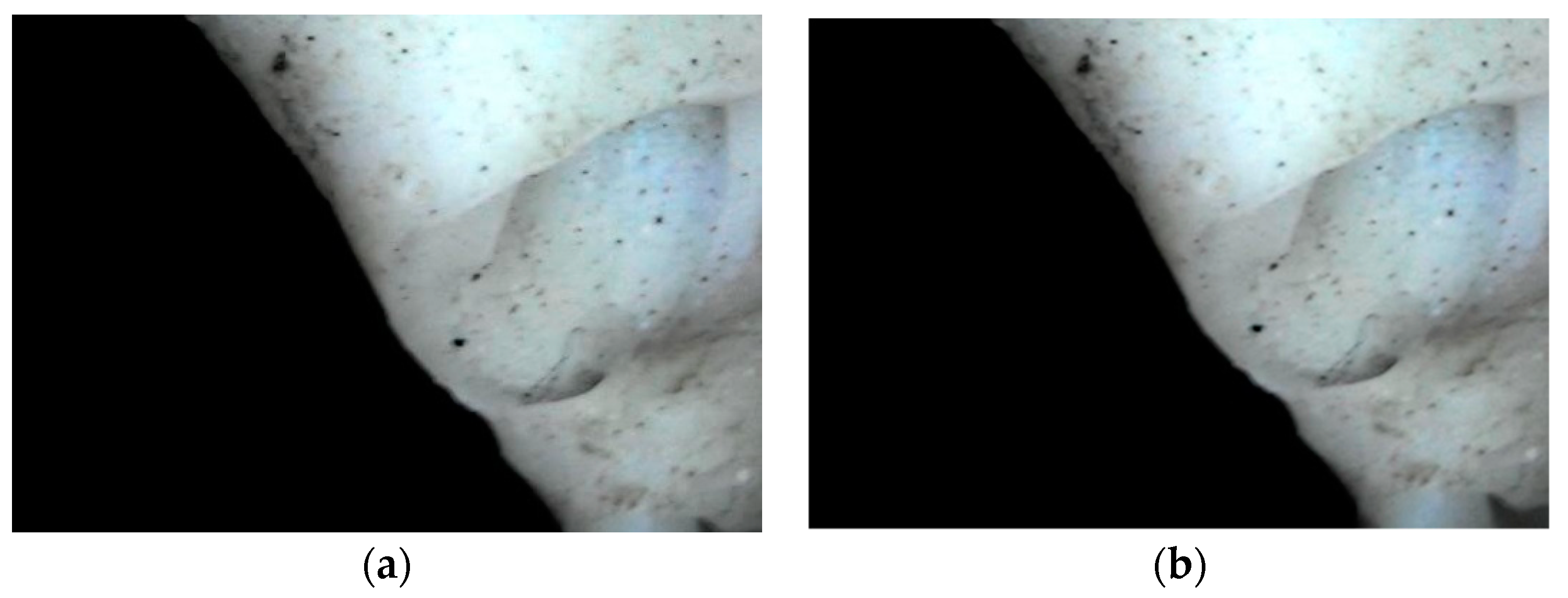 Coatings 09 00637 g016