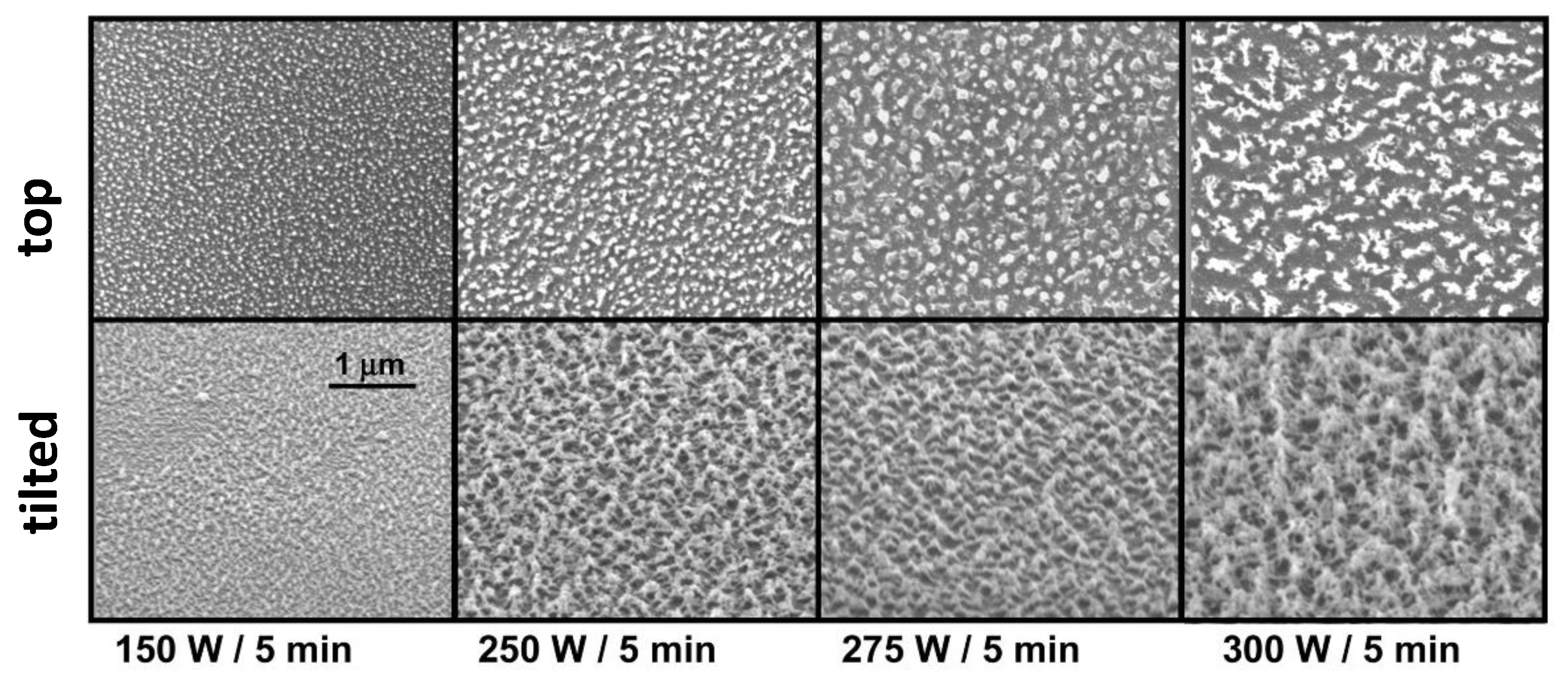 Coatings 09 00640 g002 Coatings 09 00640 g002