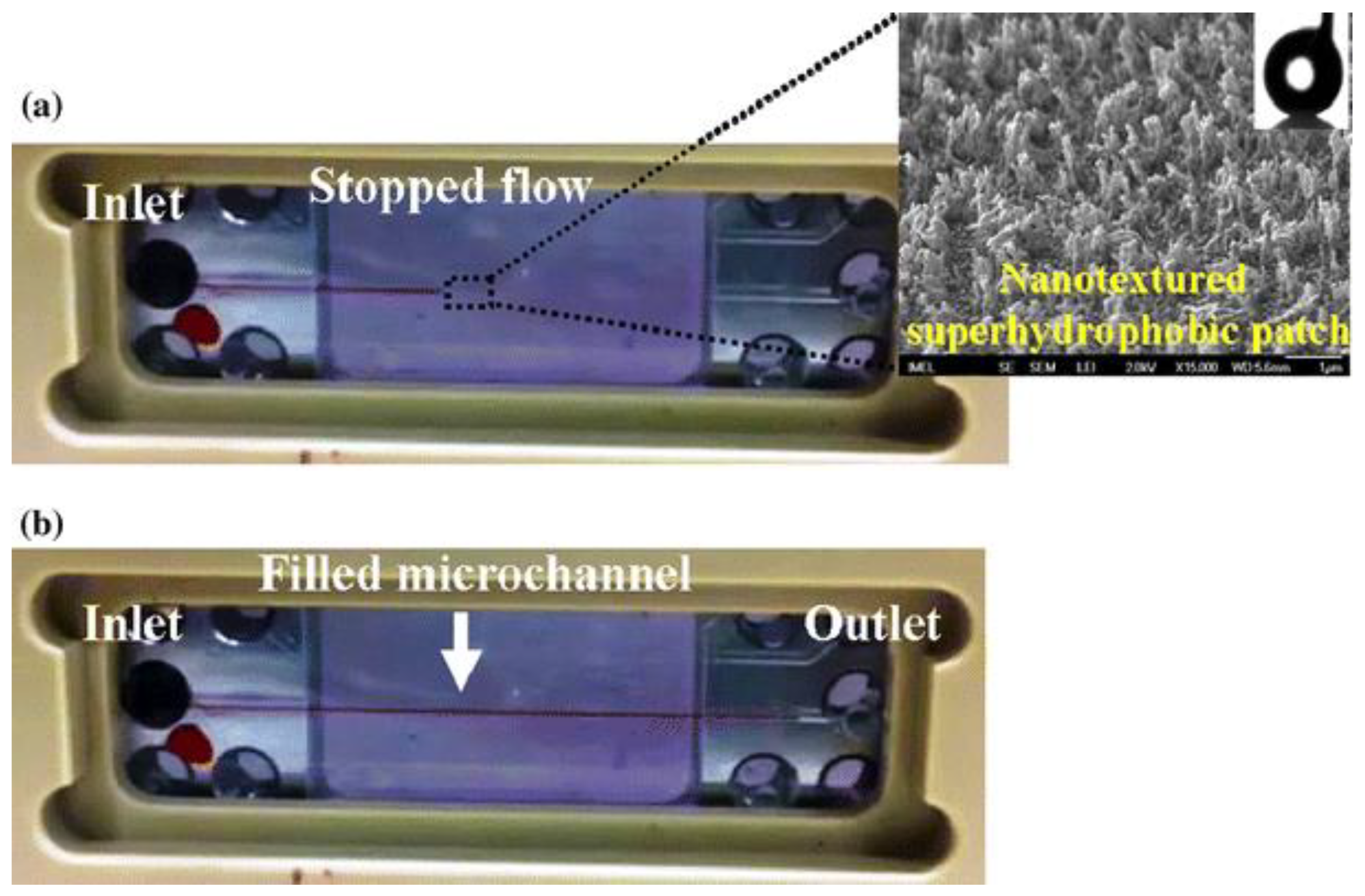 Coatings 09 00640 g003 Coatings 09 00640 g003