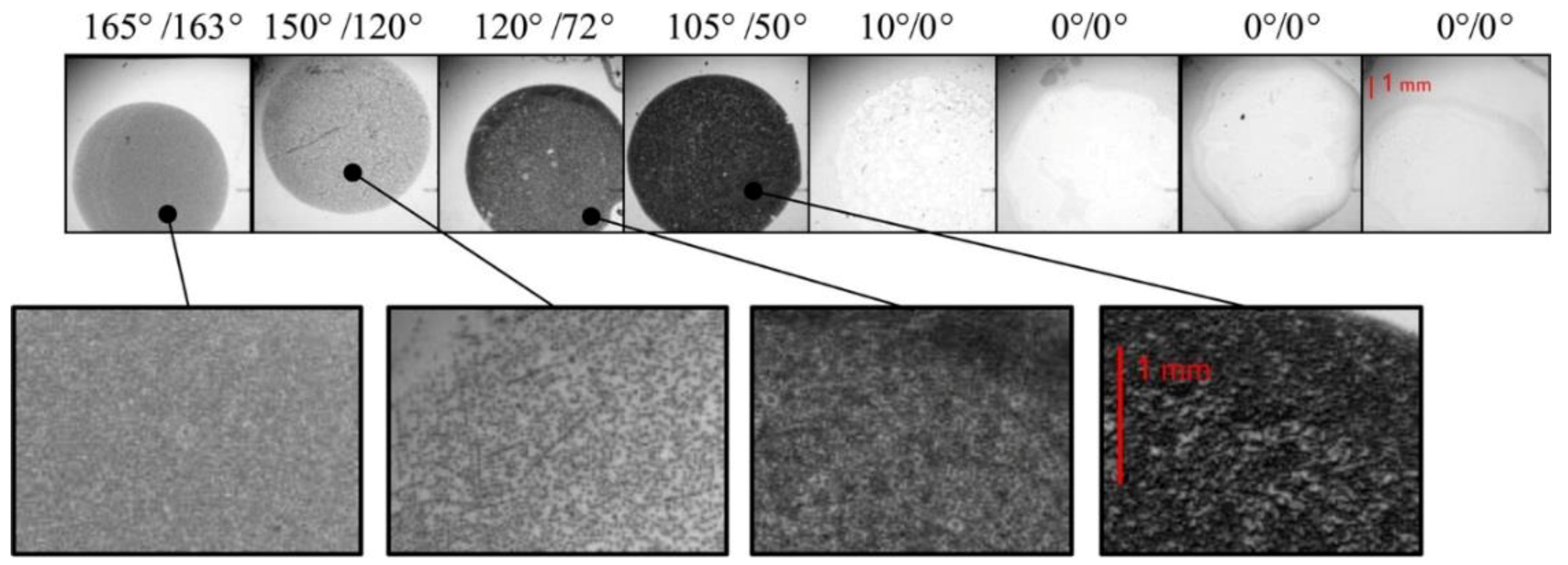 Coatings 09 00640 g004 Coatings 09 00640 g004
