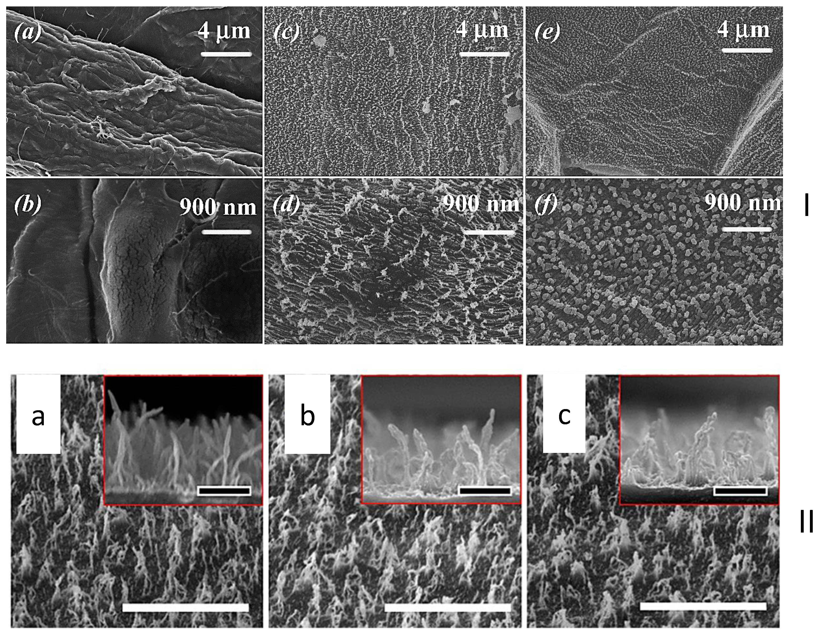 Coatings 09 00640 g006 Coatings 09 00640 g006