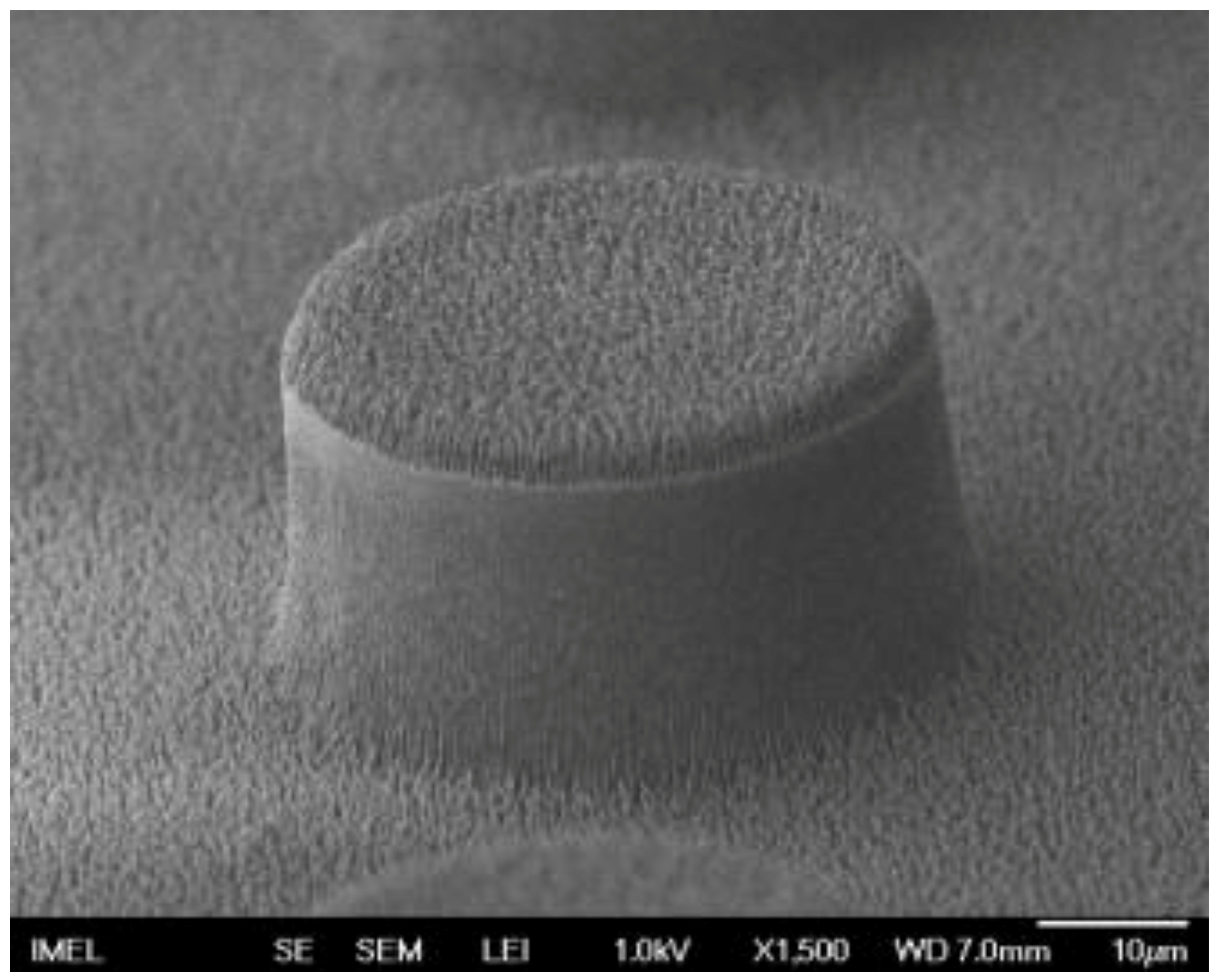 Coatings 09 00640 g007 Coatings 09 00640 g007