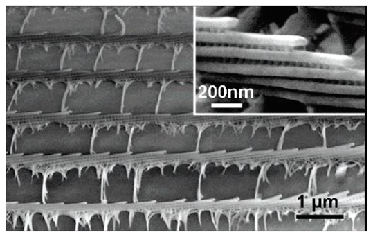 Coatings 09 00640 i001 Coatings 09 00640 i001