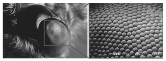 Coatings 09 00640 i002 Coatings 09 00640 i002