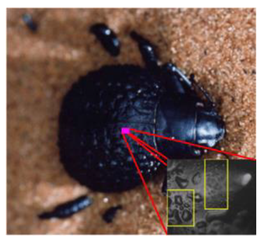 Coatings 09 00640 i006 Coatings 09 00640 i006