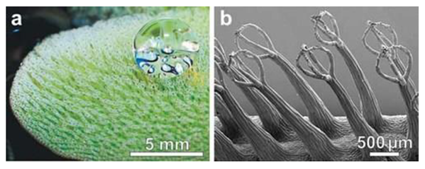 Coatings 09 00640 i010 Coatings 09 00640 i010